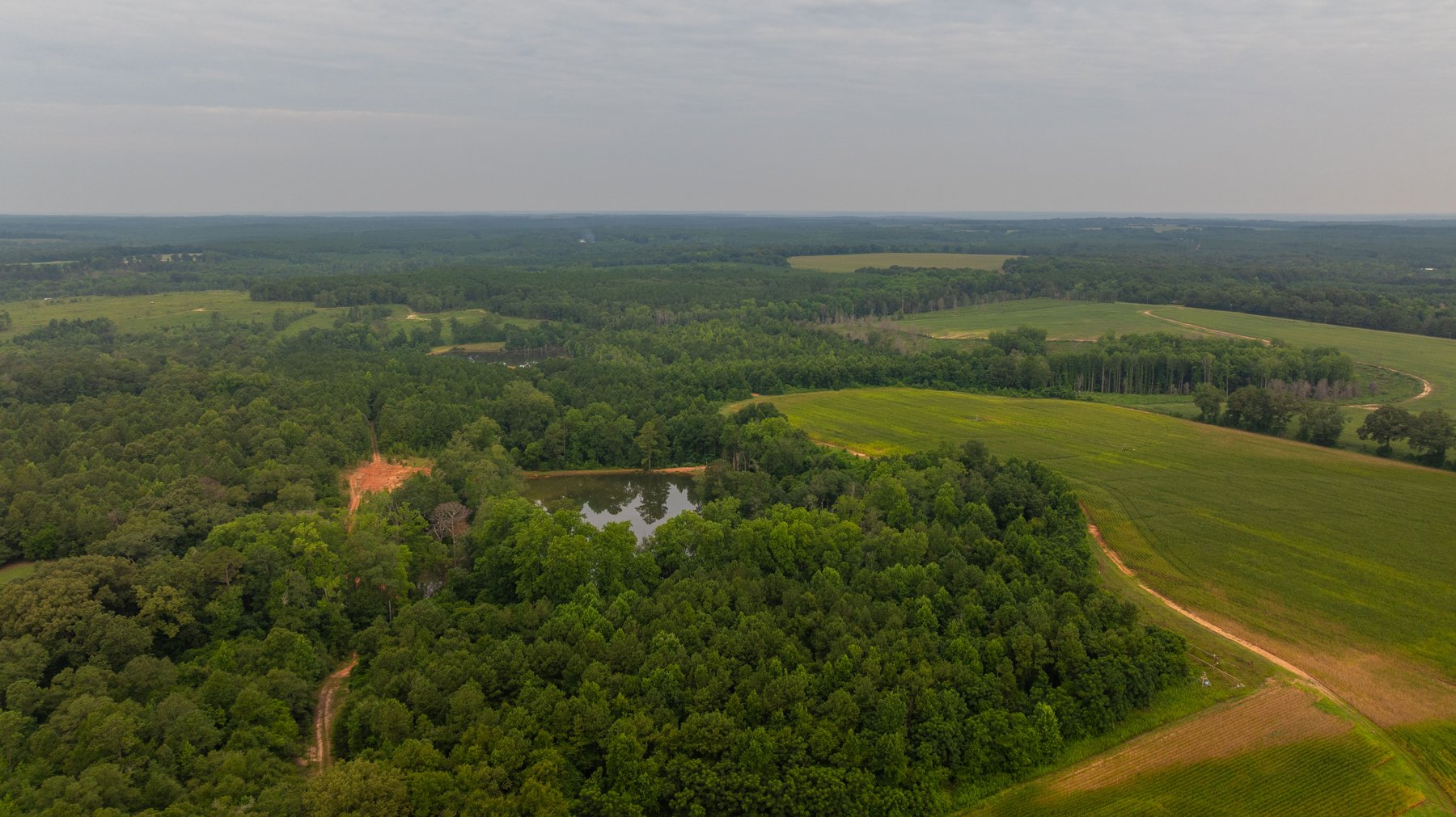 Image for The Wright Place - 190+/- Total Acres - Row Crop & Timber Farm W/ (2) Scenic Ponds