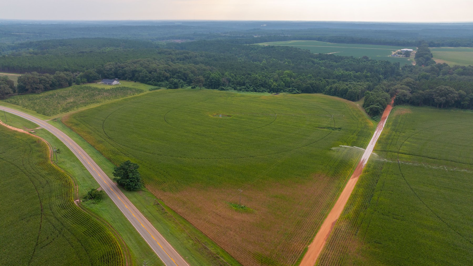 Image for The Wright Place - 190+/- Total Acres - Row Crop & Timber Farm W/ (2) Scenic Ponds