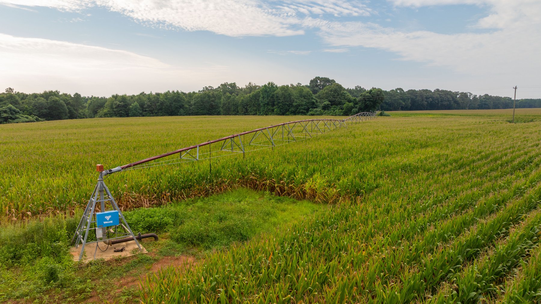 Image for The Wright Place - 190+/- Total Acres - Row Crop & Timber Farm W/ (2) Scenic Ponds