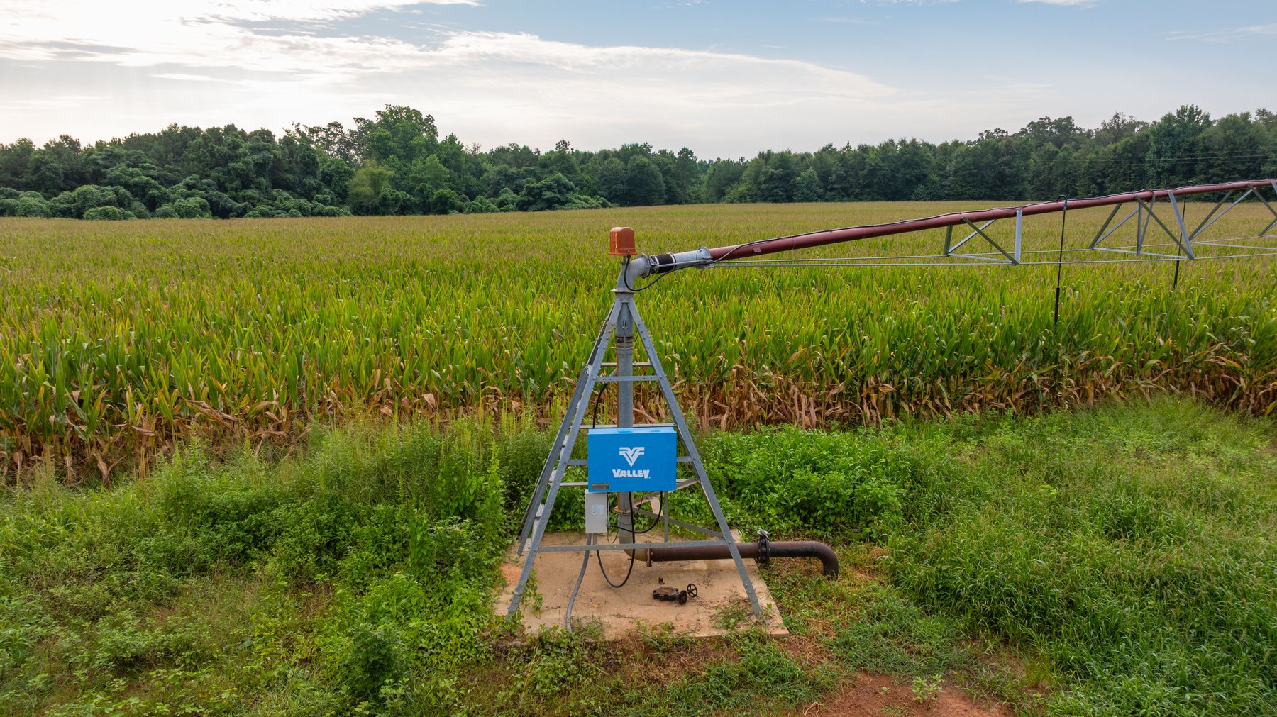 Image for The Wright Place - 190+/- Total Acres - Row Crop & Timber Farm W/ (2) Scenic Ponds