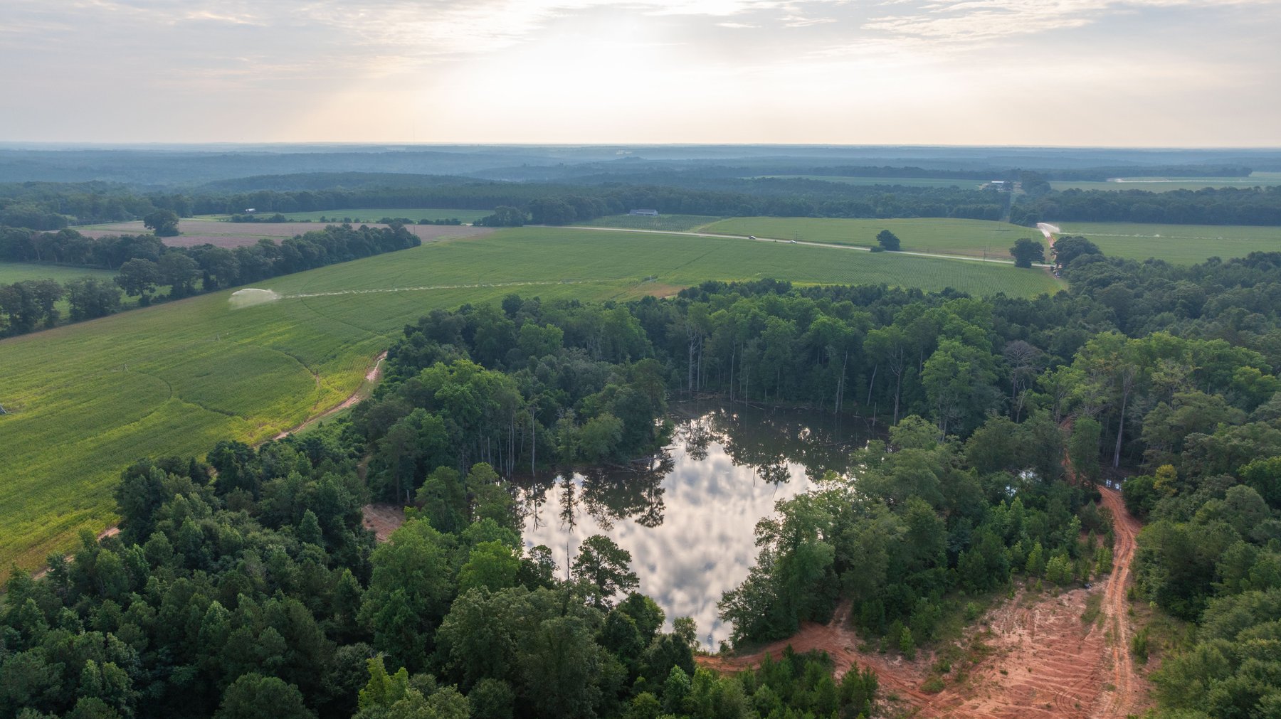Image for The Wright Place - 190+/- Total Acres - Row Crop & Timber Farm W/ (2) Scenic Ponds