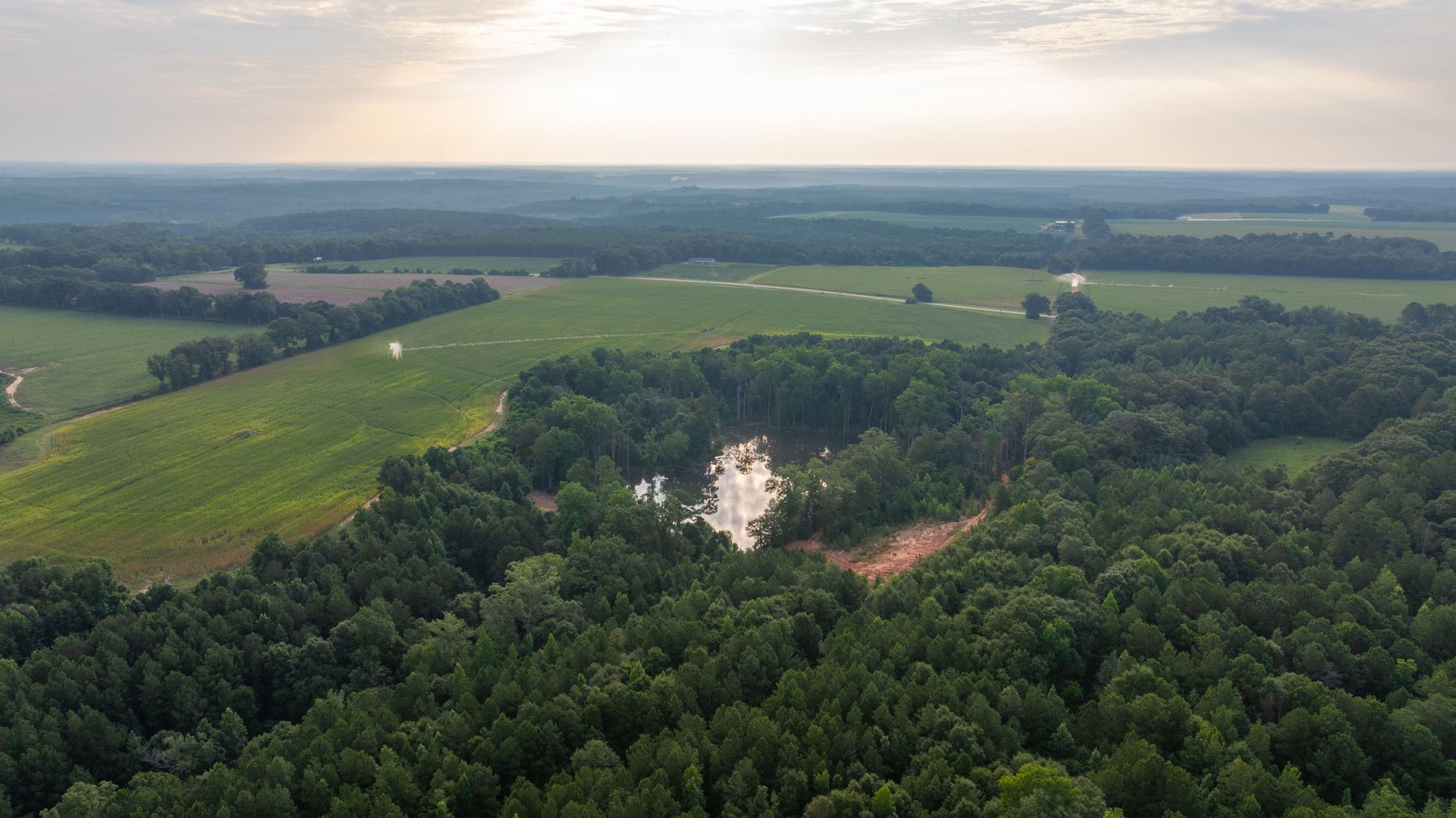 Image for The Wright Place - 190+/- Total Acres - Row Crop & Timber Farm W/ (2) Scenic Ponds