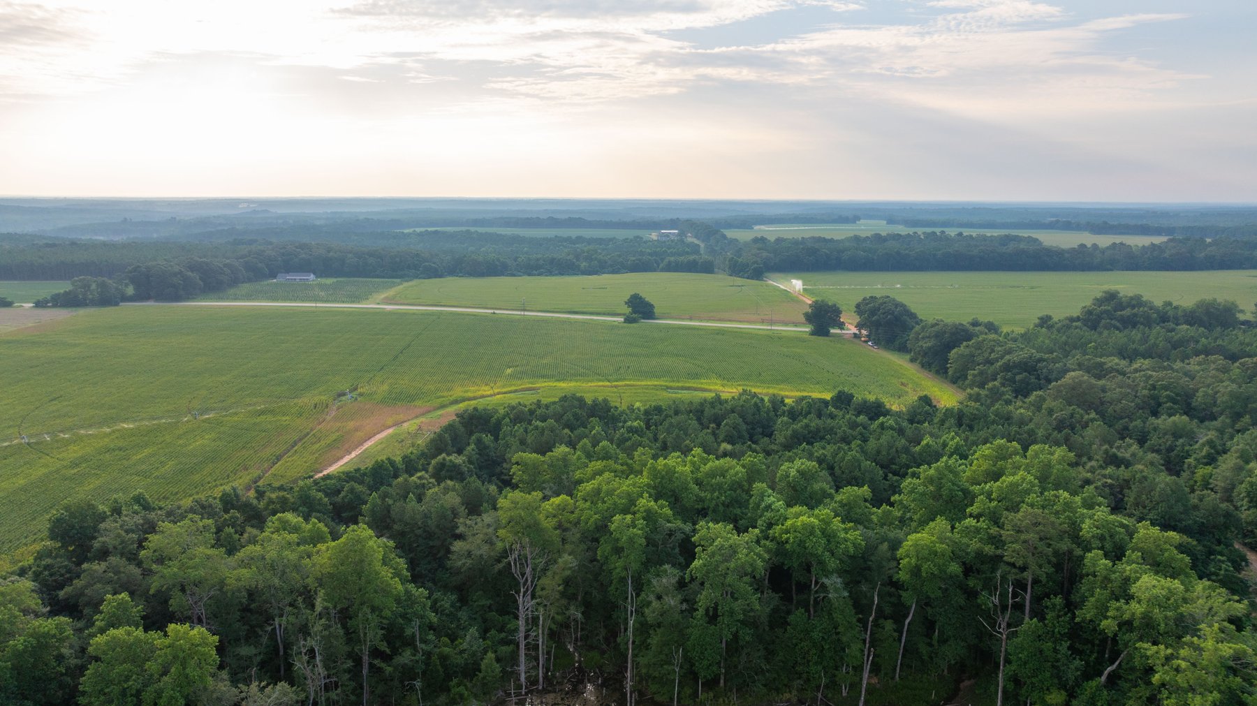 Image for The Wright Place - 190+/- Total Acres - Row Crop & Timber Farm W/ (2) Scenic Ponds