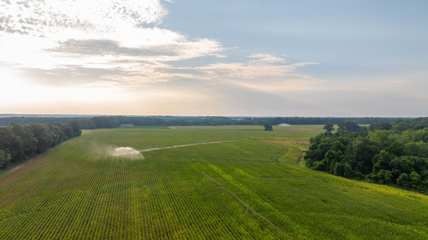 Image for The Wright Place - 190+/- Total Acres - Row Crop & Timber Farm W/ (2) Scenic Ponds