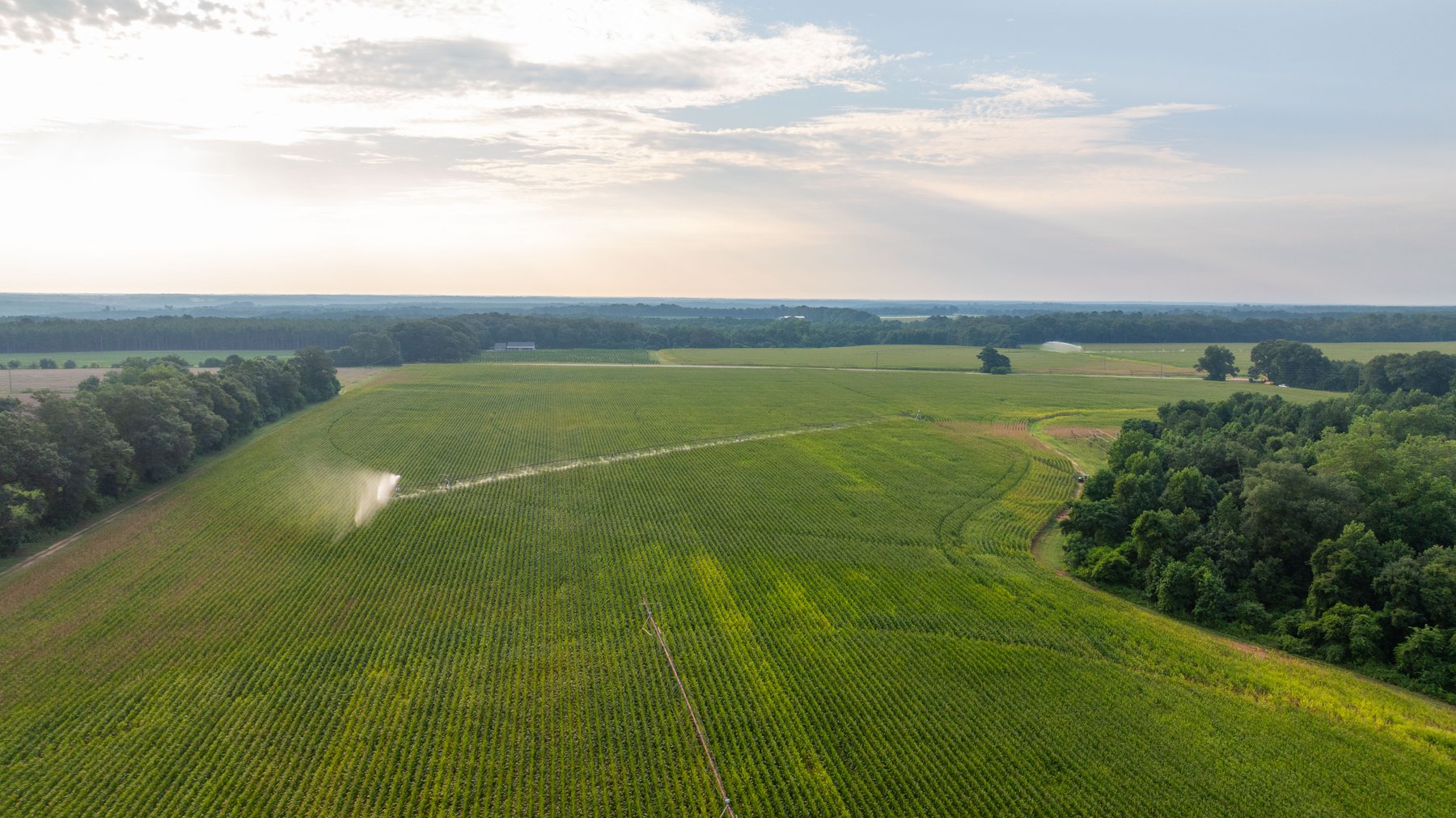 Image for The Wright Place - 190+/- Total Acres - Row Crop & Timber Farm W/ (2) Scenic Ponds