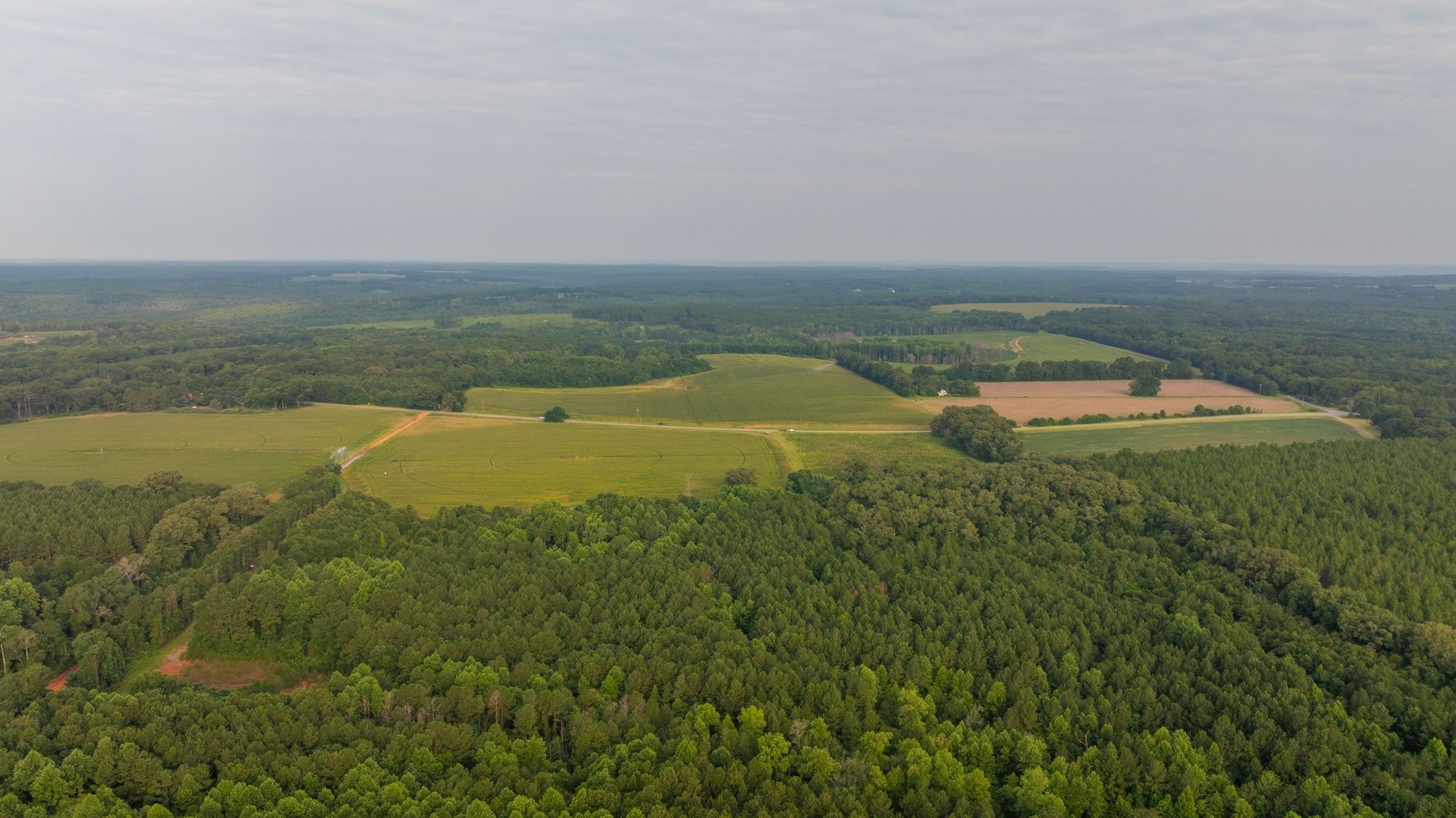 Image for The Wright Place - 190+/- Total Acres - Row Crop & Timber Farm W/ (2) Scenic Ponds
