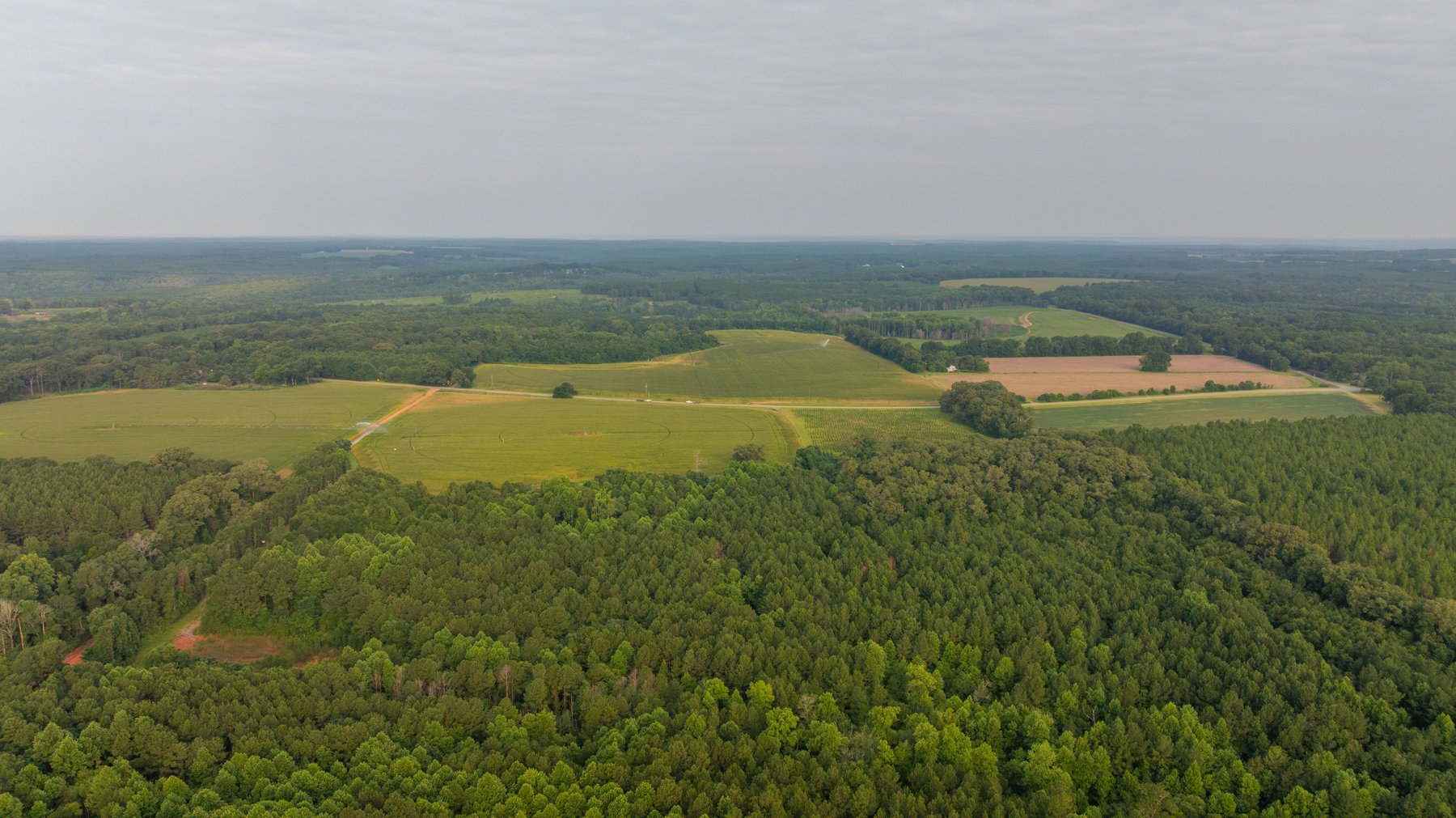 Image for The Wright Place - 190+/- Total Acres - Row Crop & Timber Farm W/ (2) Scenic Ponds
