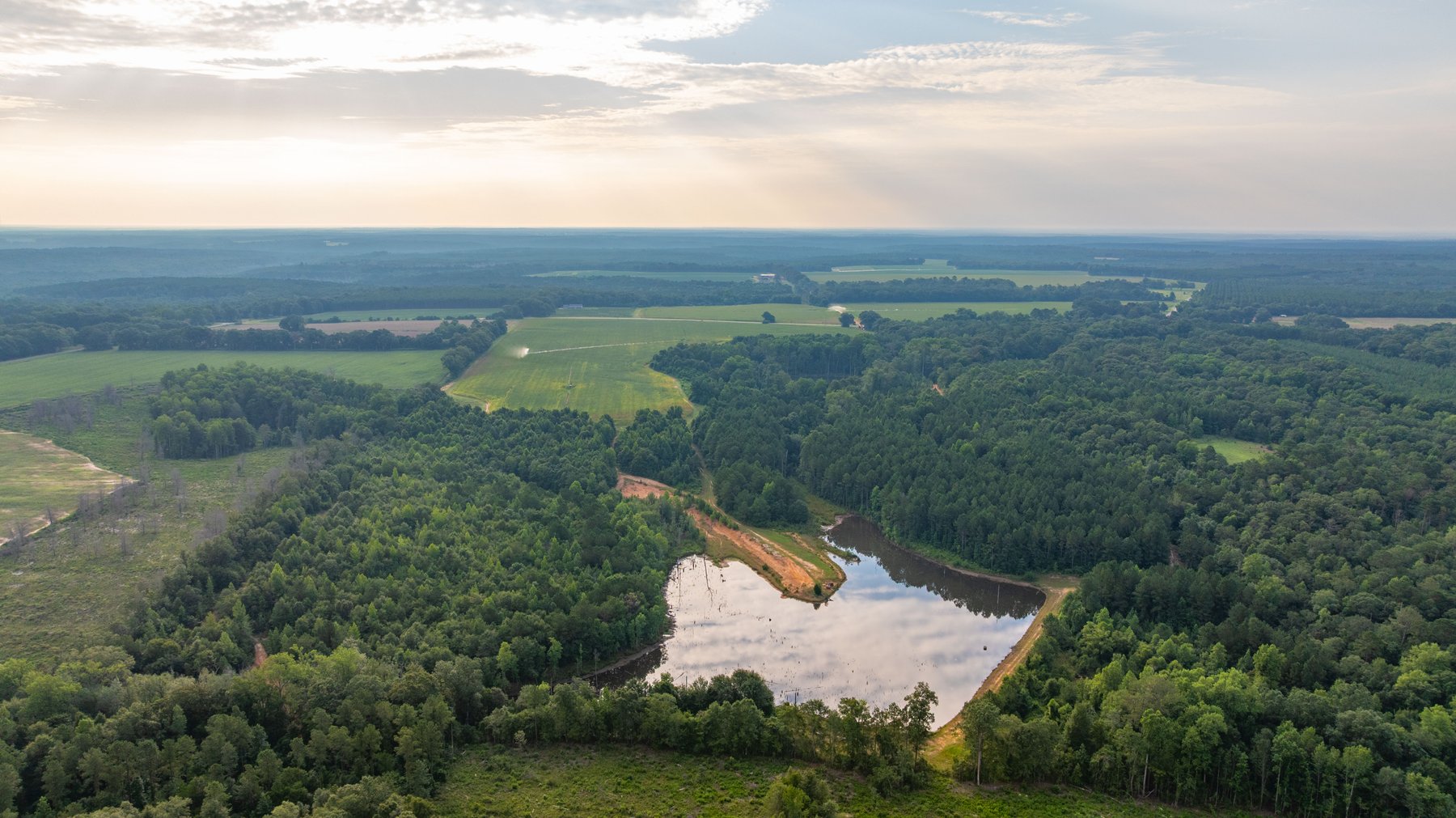 Image for The Wright Place - 190+/- Total Acres - Row Crop & Timber Farm W/ (2) Scenic Ponds