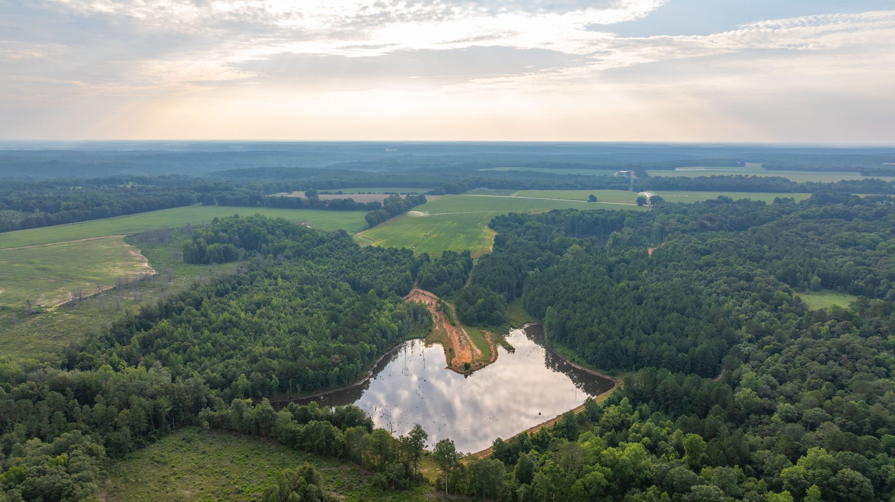 Image for The Wright Place - 190+/- Total Acres - Row Crop & Timber Farm W/ (2) Scenic Ponds