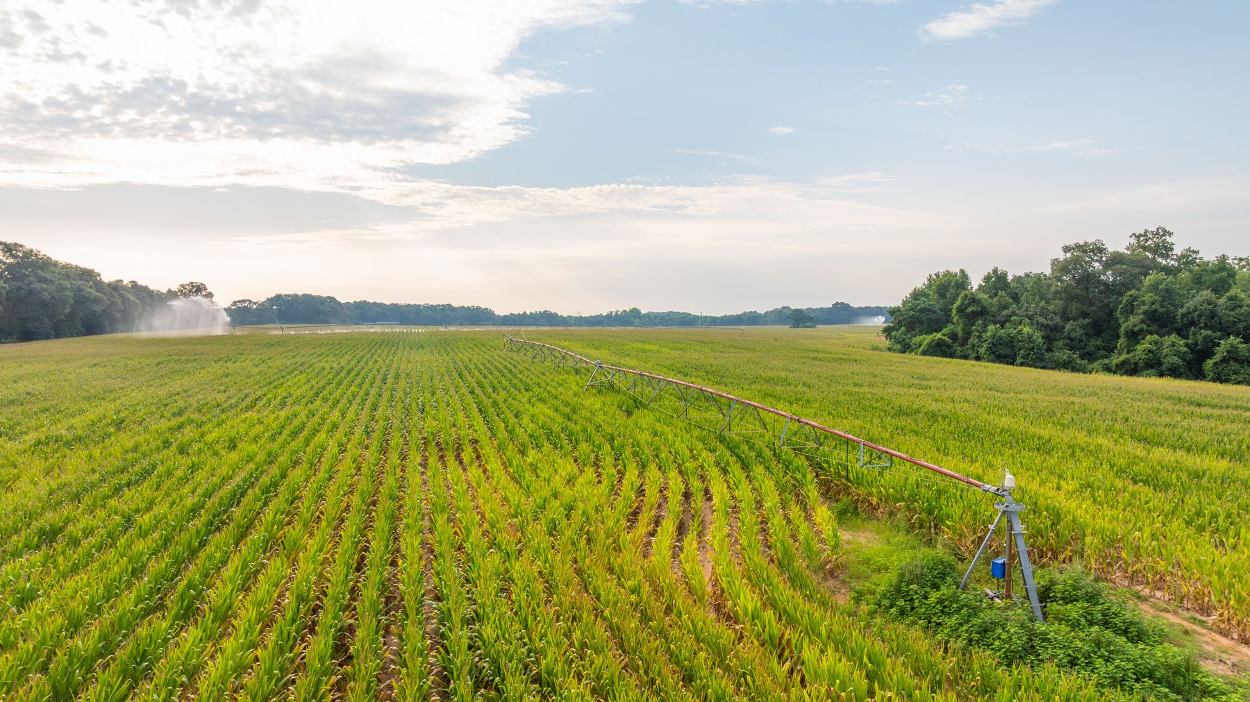 Image for The Wright Place - 190+/- Total Acres - Row Crop & Timber Farm W/ (2) Scenic Ponds