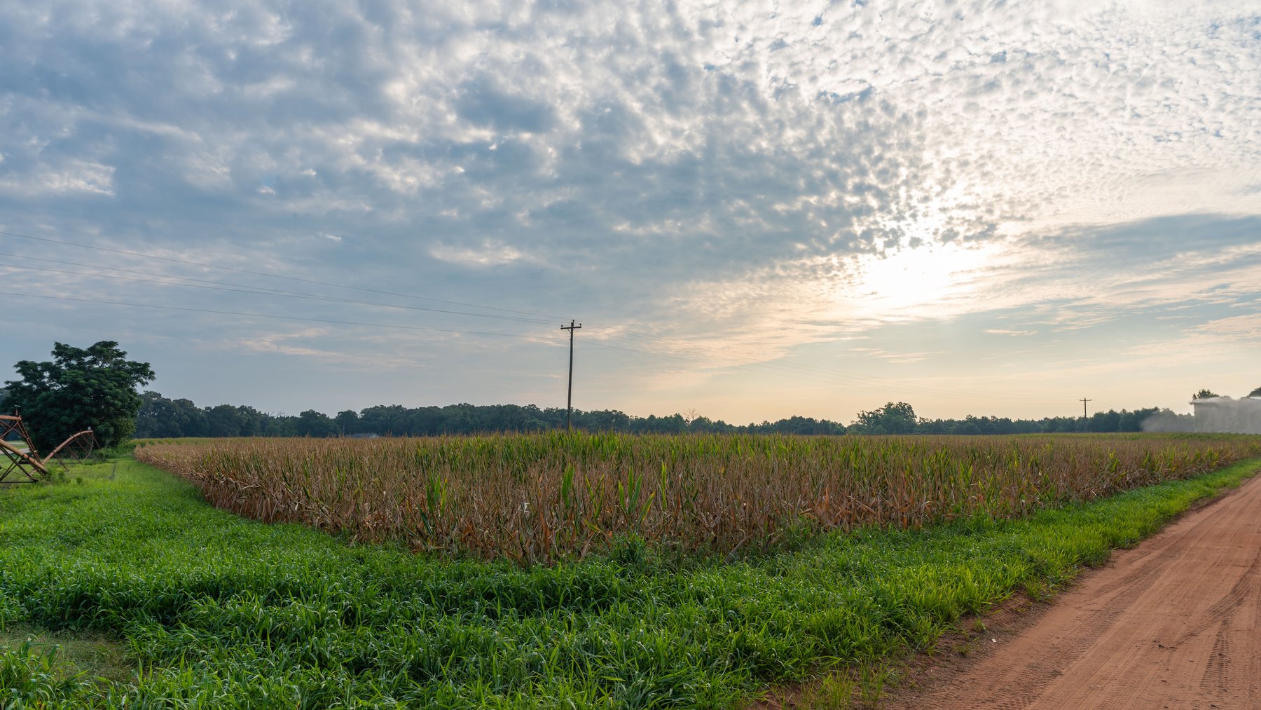 Image for The Wright Place - 190+/- Total Acres - Row Crop & Timber Farm W/ (2) Scenic Ponds