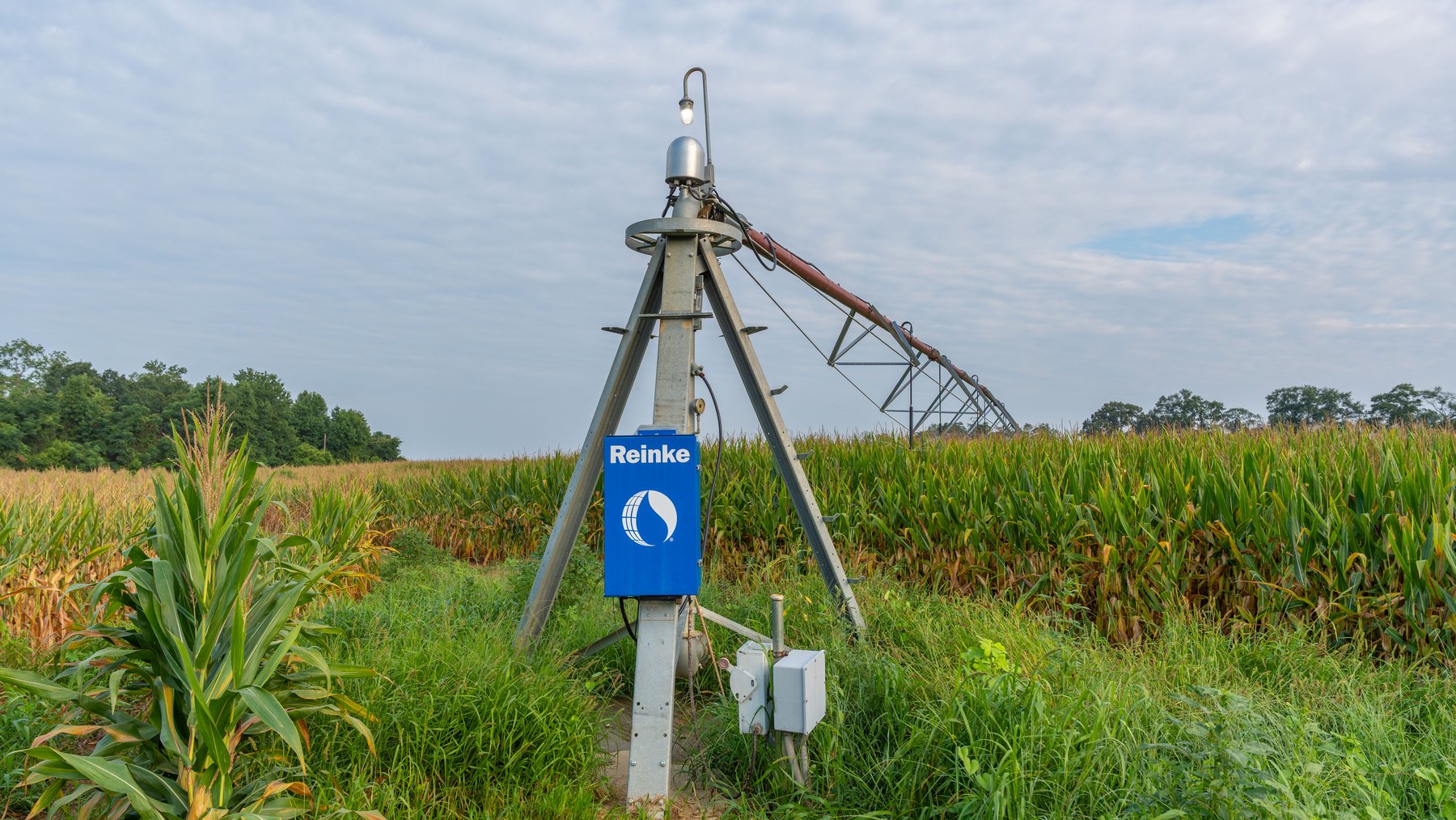 Image for The Wright Place - 190+/- Total Acres - Row Crop & Timber Farm W/ (2) Scenic Ponds