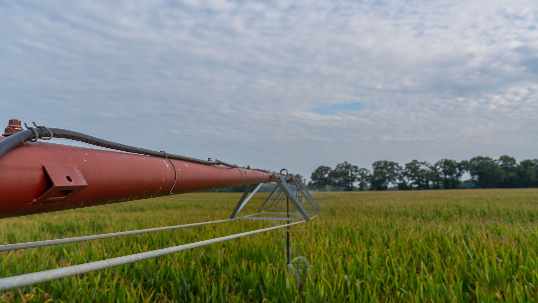 Image for The Wright Place - 190+/- Total Acres - Row Crop & Timber Farm W/ (2) Scenic Ponds