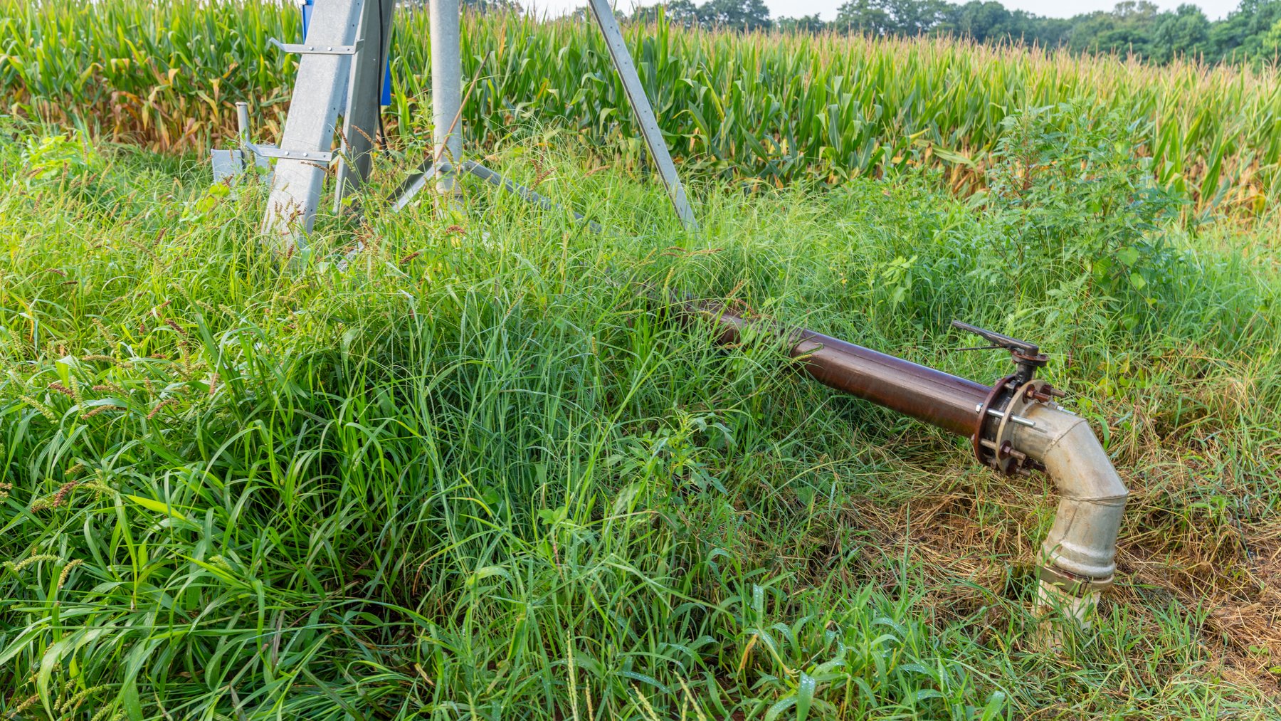 Image for The Wright Place - 190+/- Total Acres - Row Crop & Timber Farm W/ (2) Scenic Ponds