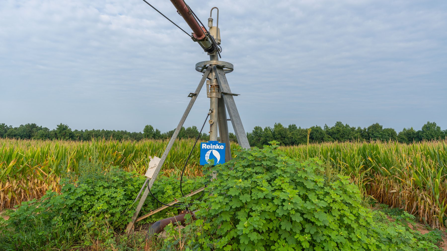 Image for The Wright Place - 190+/- Total Acres - Row Crop & Timber Farm W/ (2) Scenic Ponds