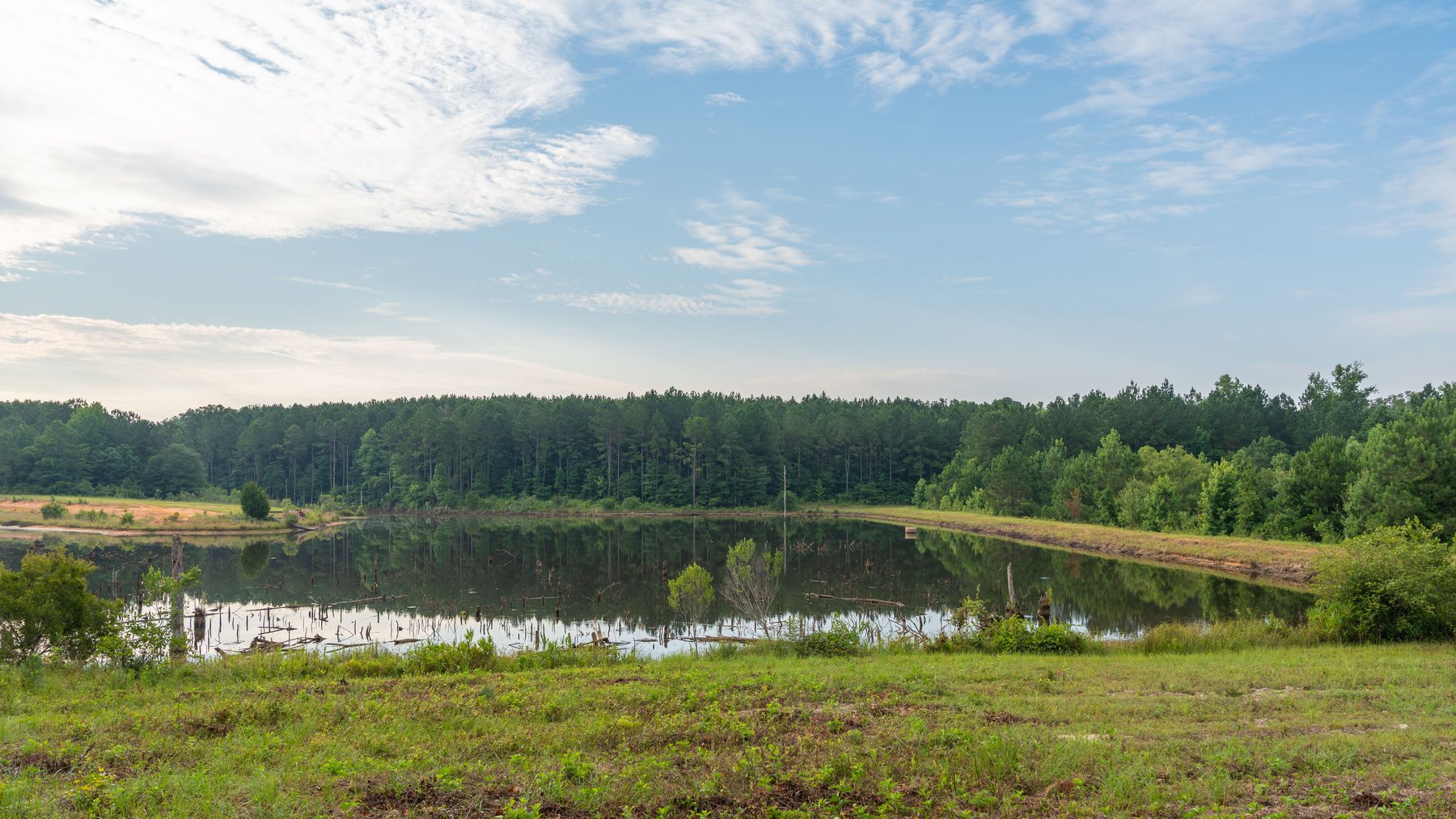 Image for The Wright Place - 190+/- Total Acres - Row Crop & Timber Farm W/ (2) Scenic Ponds
