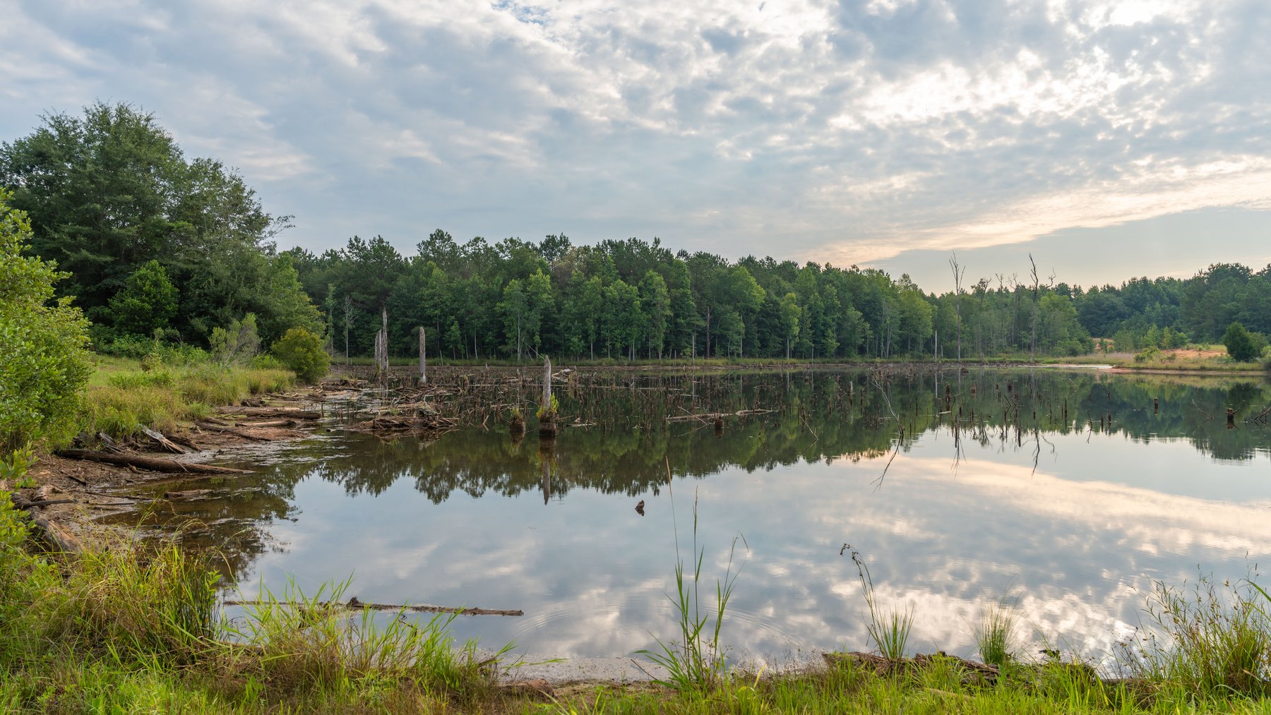 Image for The Wright Place - 190+/- Total Acres - Row Crop & Timber Farm W/ (2) Scenic Ponds