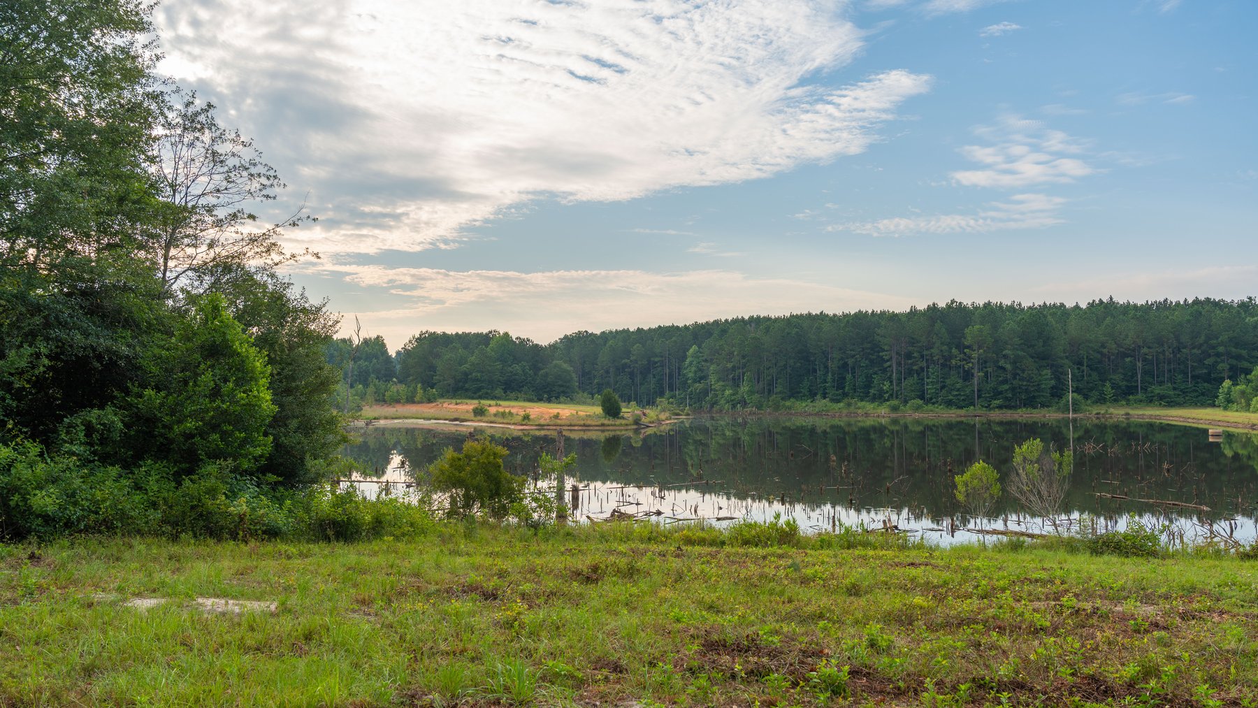 Image for The Wright Place - 190+/- Total Acres - Row Crop & Timber Farm W/ (2) Scenic Ponds