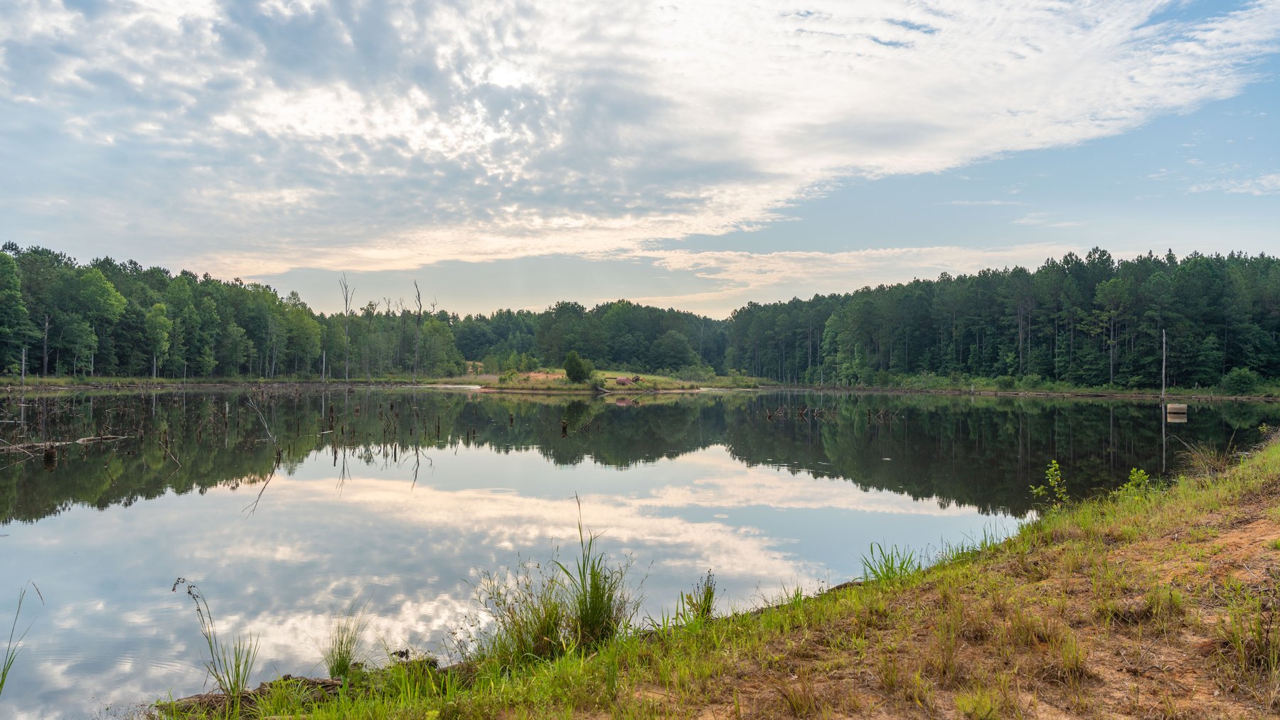 Image for The Wright Place - 190+/- Total Acres - Row Crop & Timber Farm W/ (2) Scenic Ponds