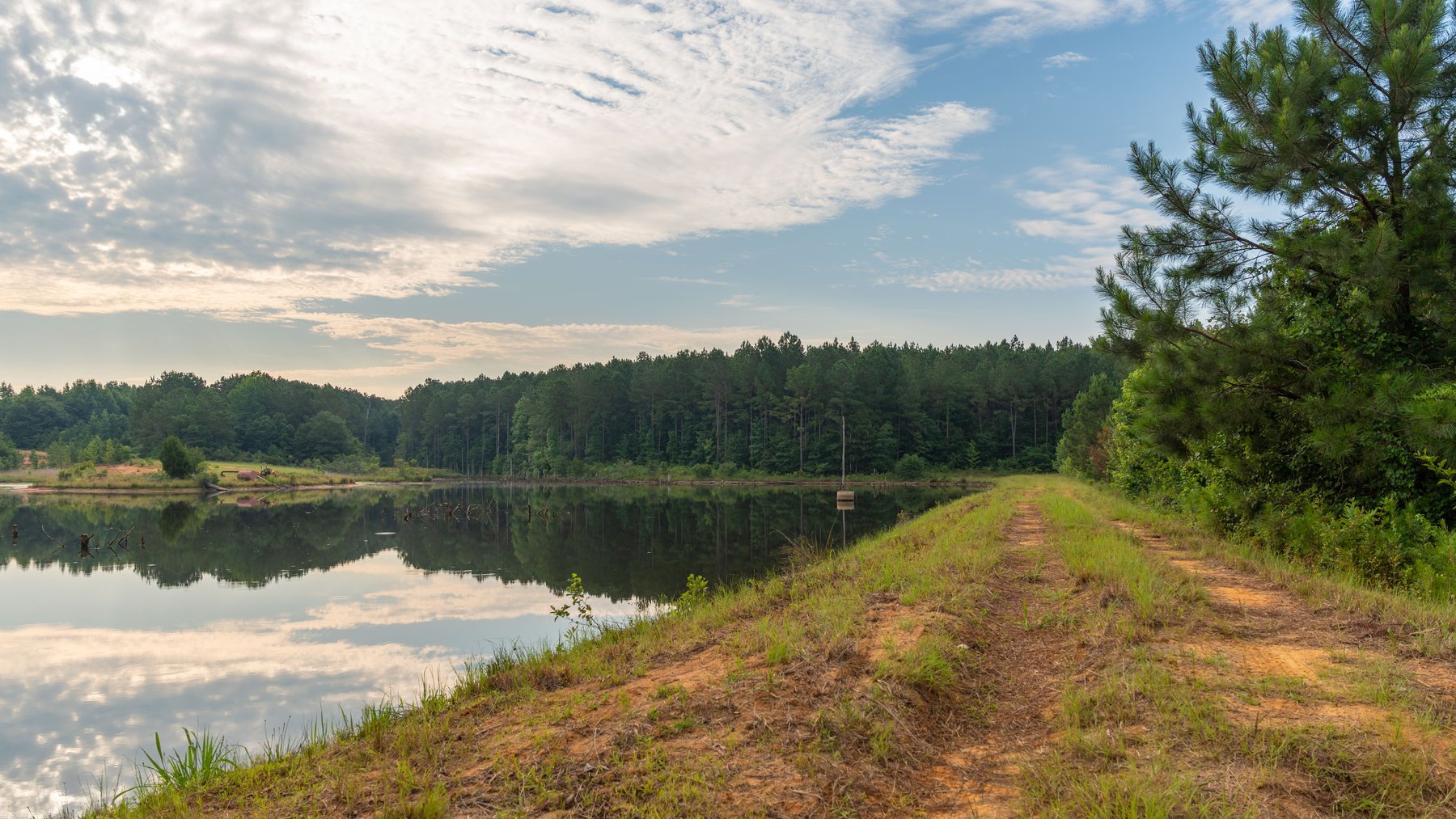 Image for The Wright Place - 190+/- Total Acres - Row Crop & Timber Farm W/ (2) Scenic Ponds