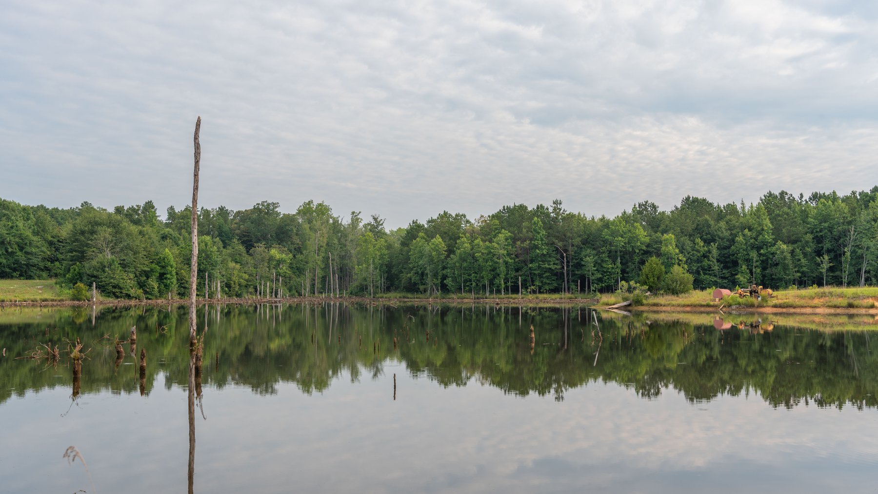 Image for The Wright Place - 190+/- Total Acres - Row Crop & Timber Farm W/ (2) Scenic Ponds