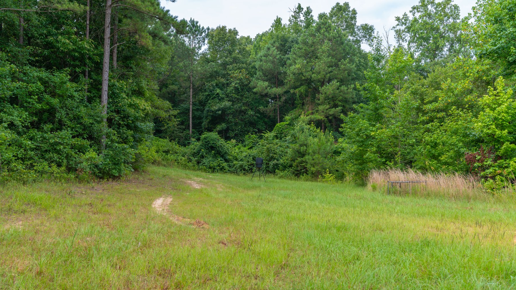 Image for The Wright Place - 190+/- Total Acres - Row Crop & Timber Farm W/ (2) Scenic Ponds