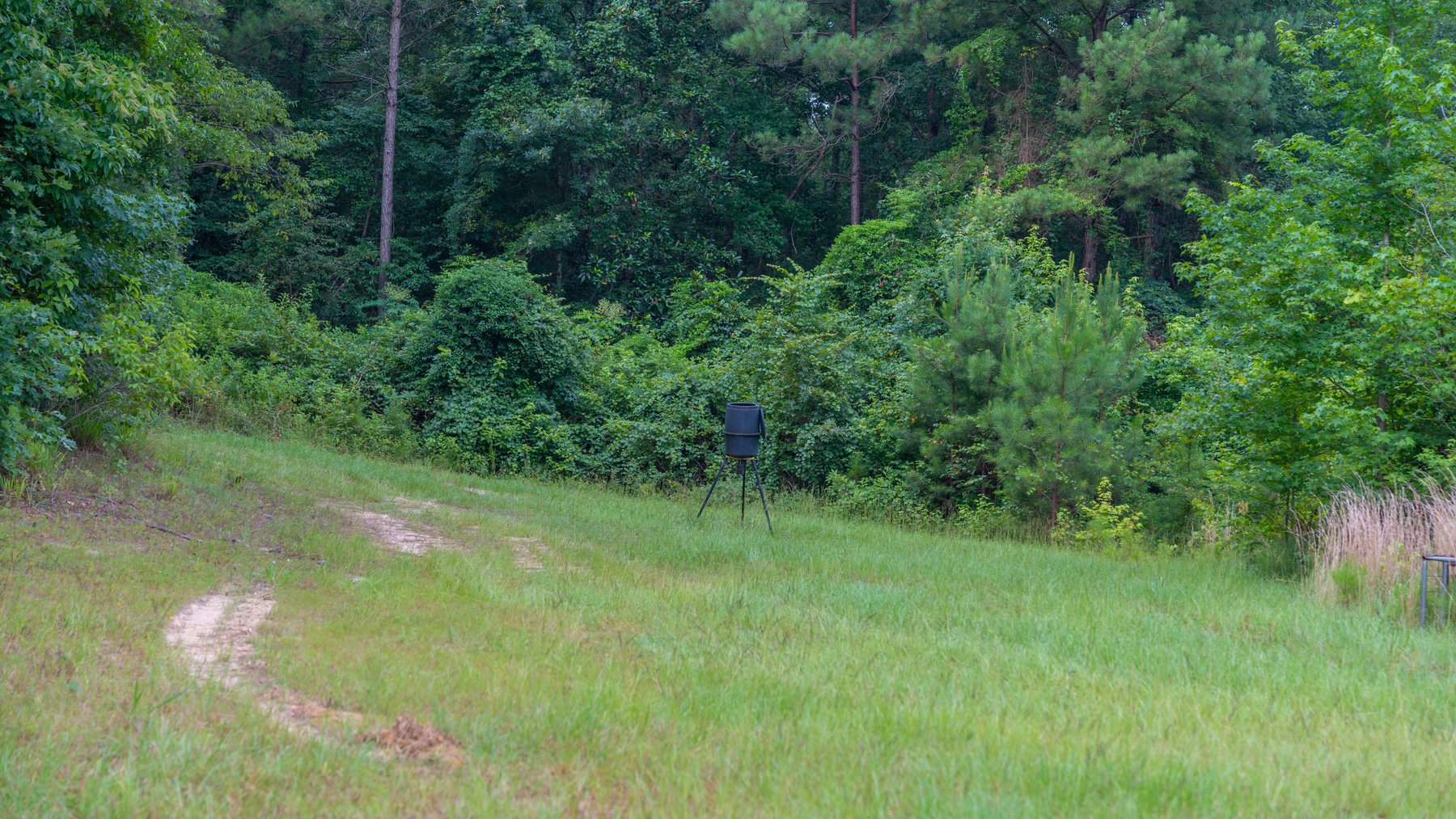 Image for The Wright Place - 190+/- Total Acres - Row Crop & Timber Farm W/ (2) Scenic Ponds