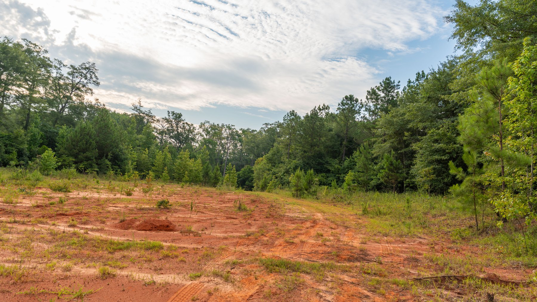 Image for The Wright Place - 190+/- Total Acres - Row Crop & Timber Farm W/ (2) Scenic Ponds