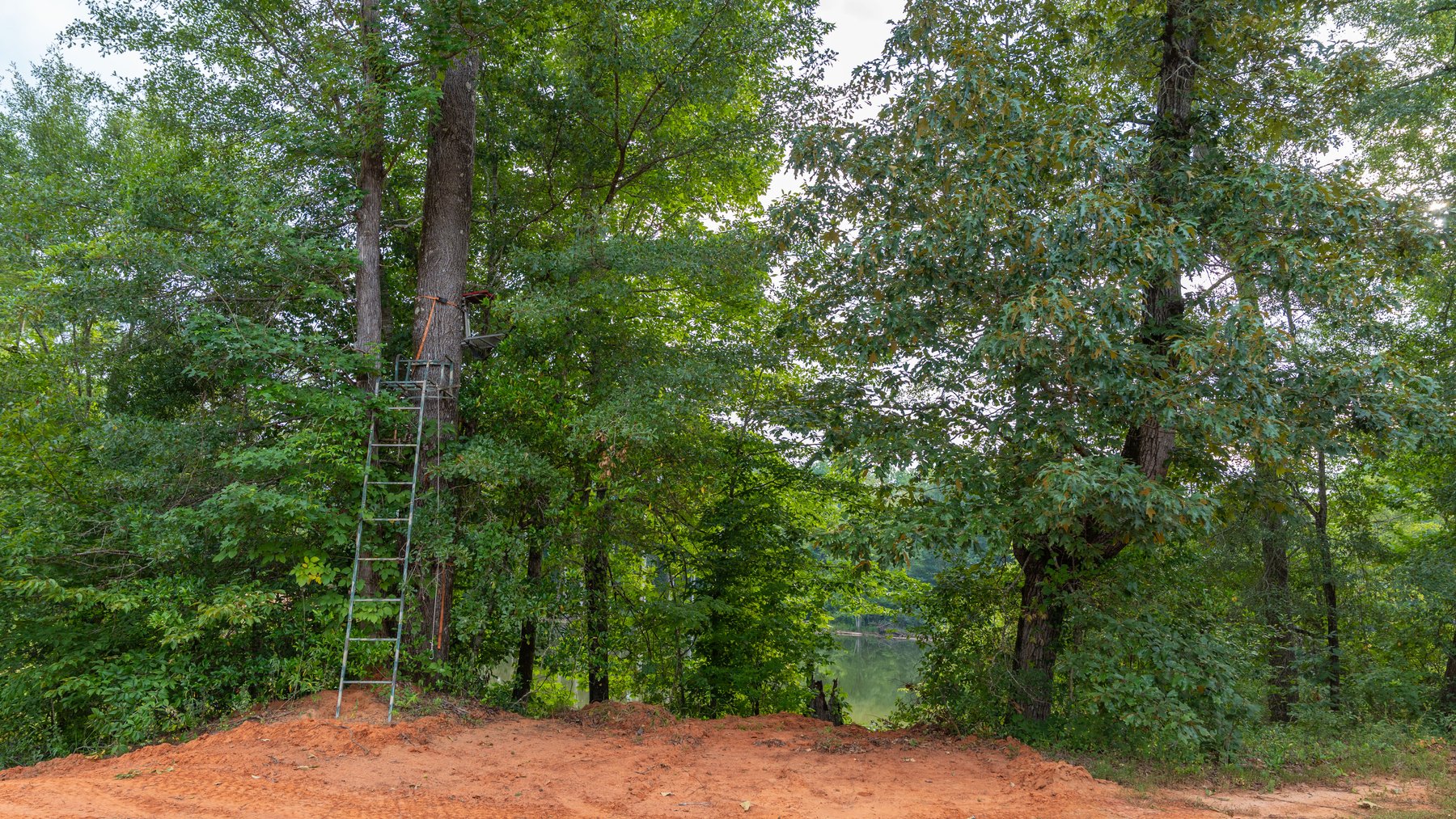 Image for The Wright Place - 190+/- Total Acres - Row Crop & Timber Farm W/ (2) Scenic Ponds