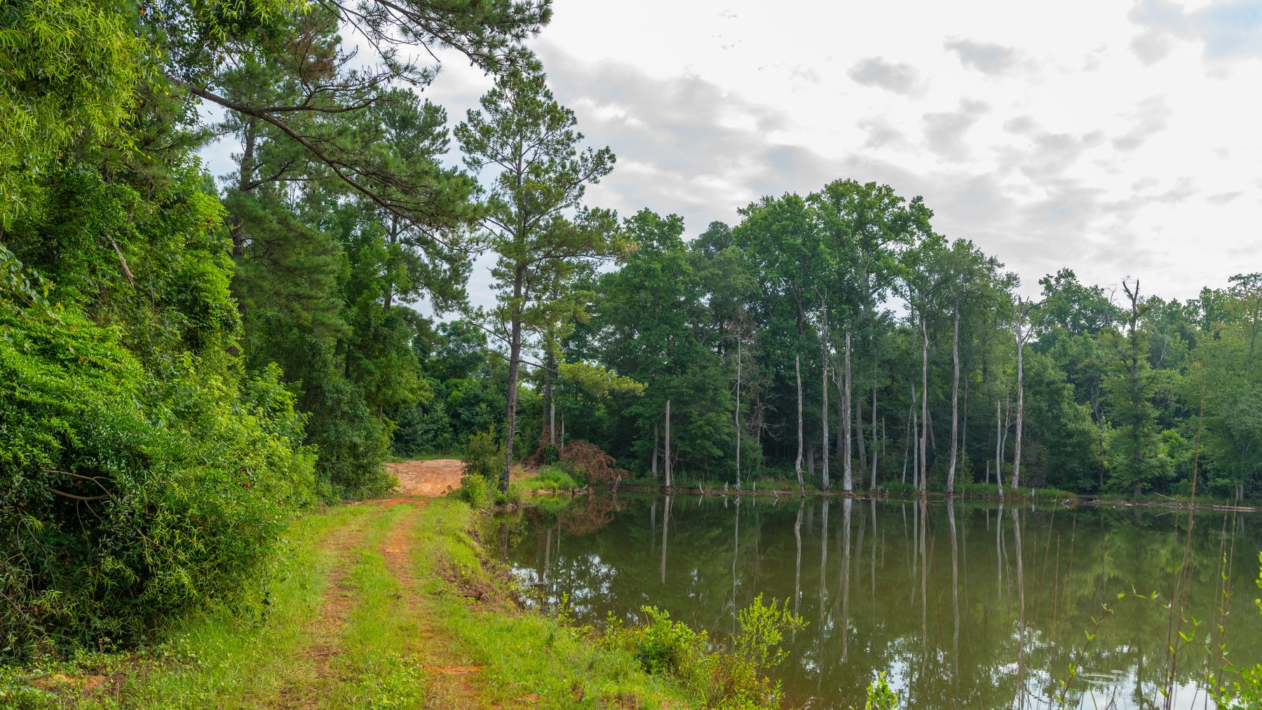 Image for The Wright Place - 190+/- Total Acres - Row Crop & Timber Farm W/ (2) Scenic Ponds
