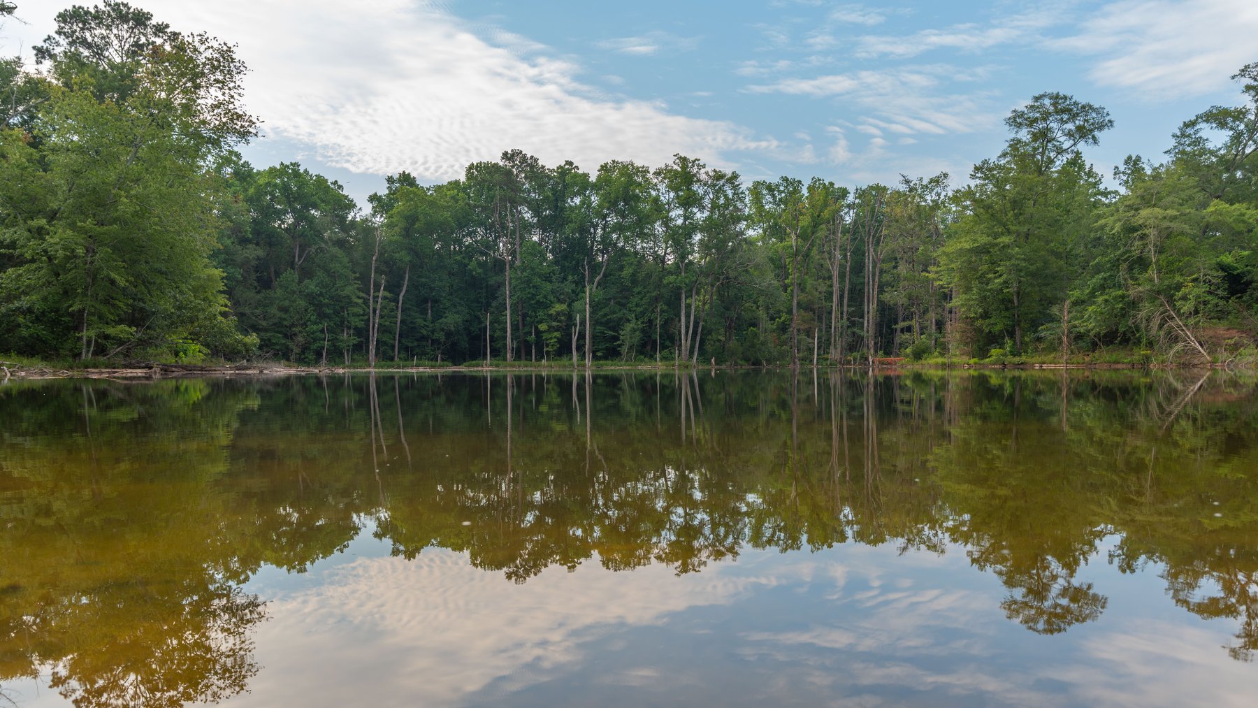 Image for The Wright Place - 190+/- Total Acres - Row Crop & Timber Farm W/ (2) Scenic Ponds