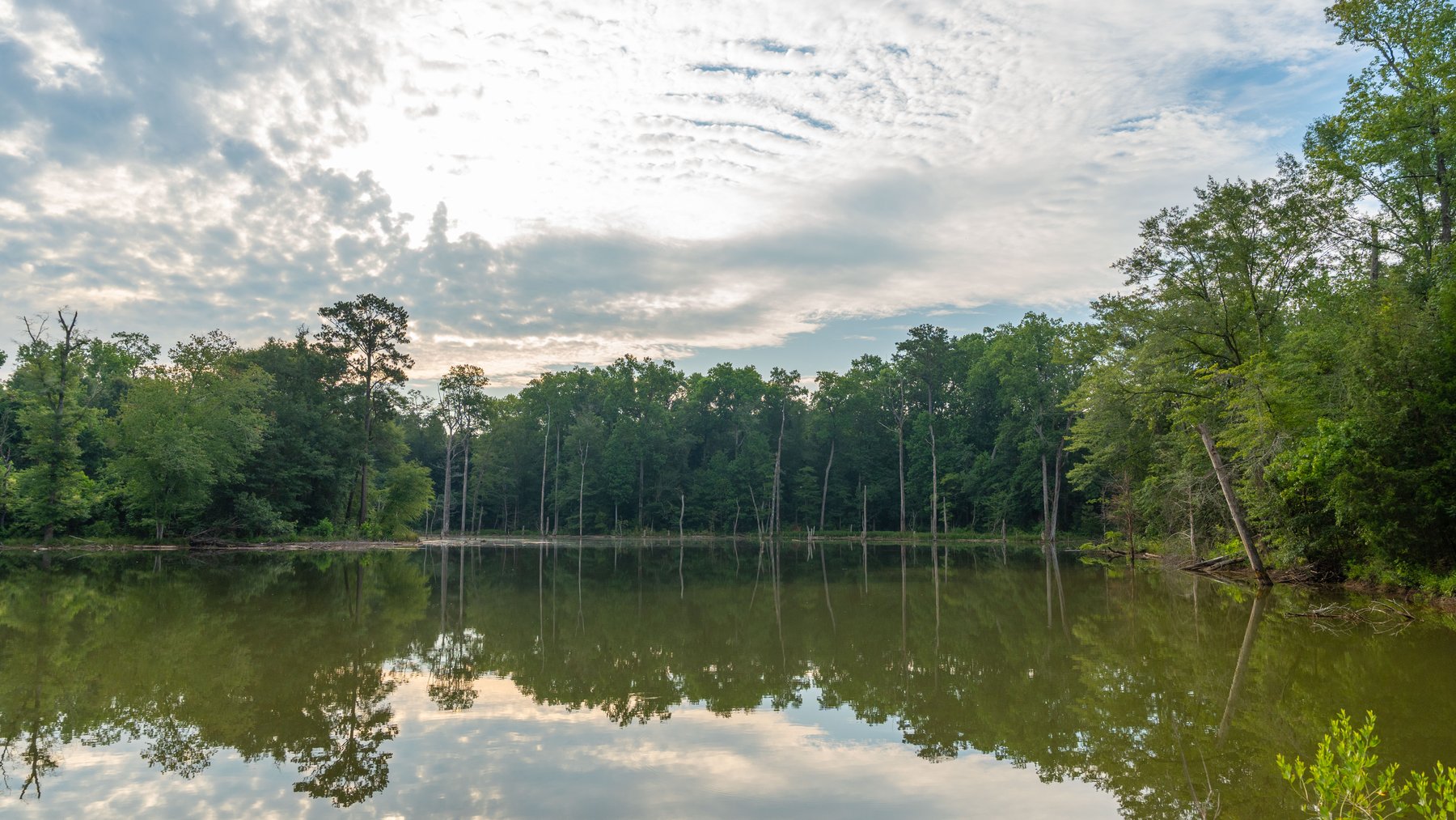 Image for The Wright Place - 190+/- Total Acres - Row Crop & Timber Farm W/ (2) Scenic Ponds