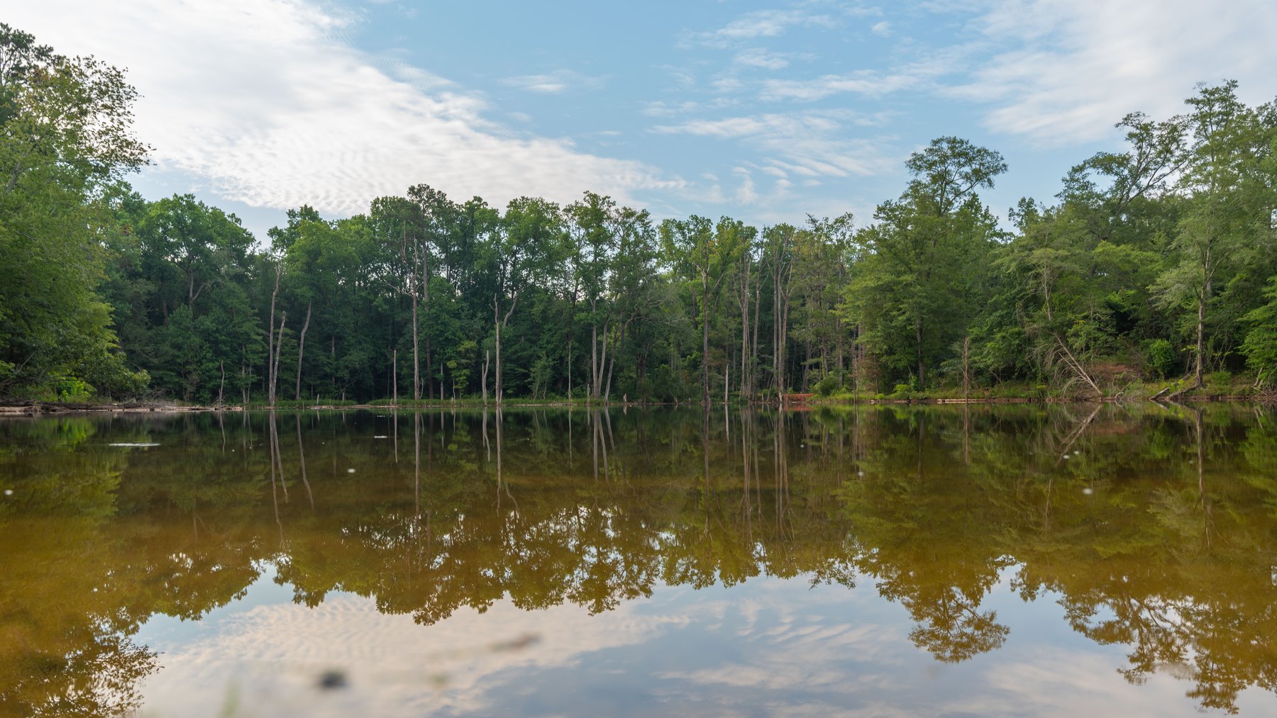 Image for The Wright Place - 190+/- Total Acres - Row Crop & Timber Farm W/ (2) Scenic Ponds
