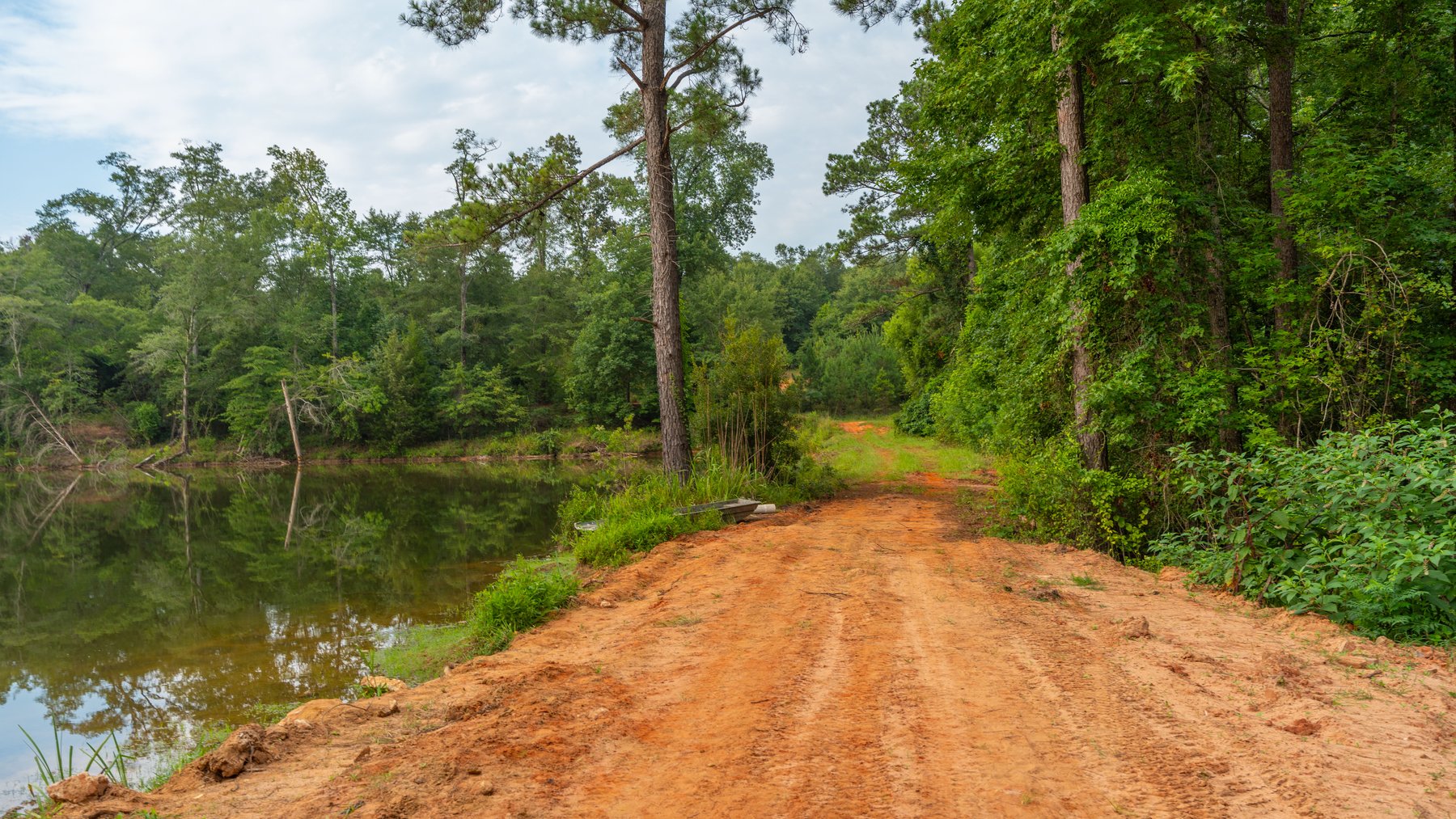 Image for The Wright Place - 190+/- Total Acres - Row Crop & Timber Farm W/ (2) Scenic Ponds