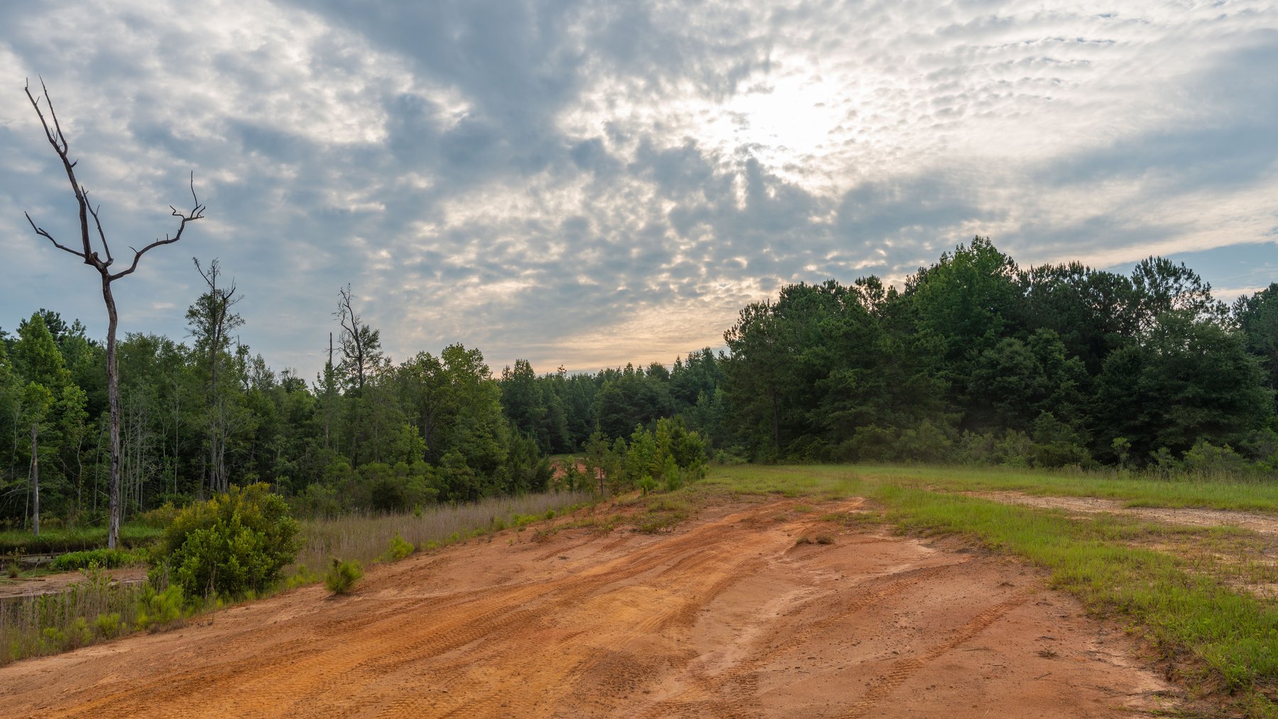 Image for The Wright Place - 190+/- Total Acres - Row Crop & Timber Farm W/ (2) Scenic Ponds