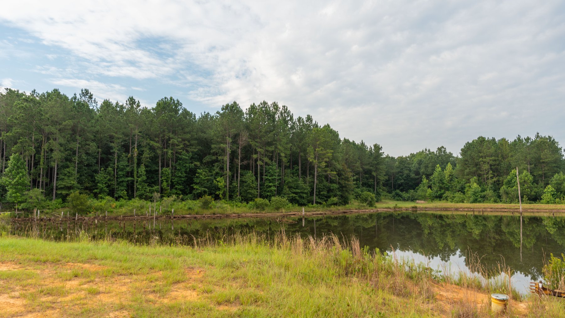 Image for The Wright Place - 190+/- Total Acres - Row Crop & Timber Farm W/ (2) Scenic Ponds