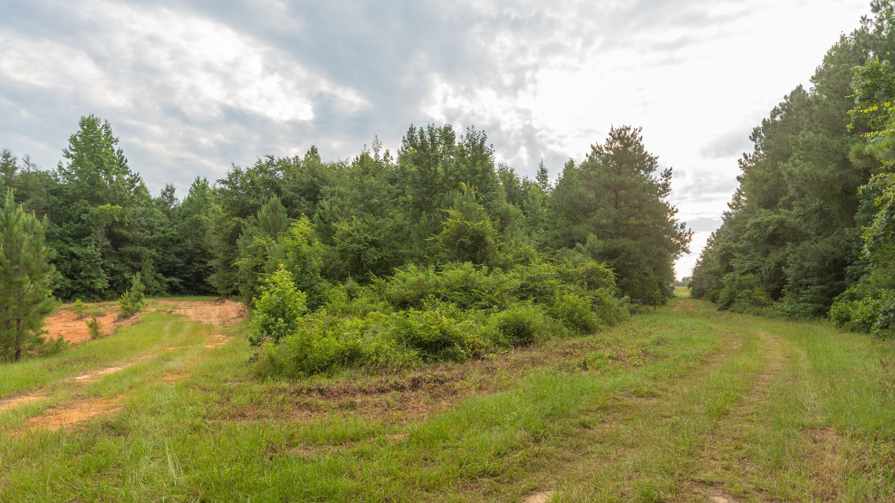 Image for The Wright Place - 190+/- Total Acres - Row Crop & Timber Farm W/ (2) Scenic Ponds