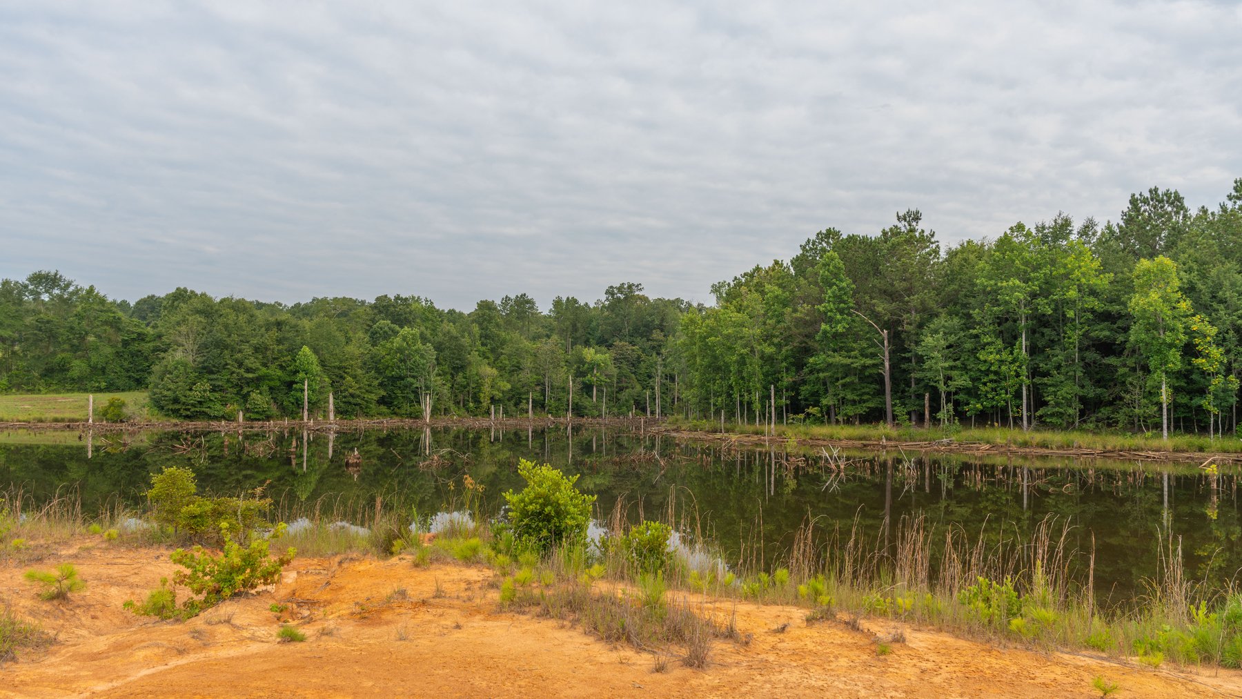 Image for The Wright Place - 190+/- Total Acres - Row Crop & Timber Farm W/ (2) Scenic Ponds