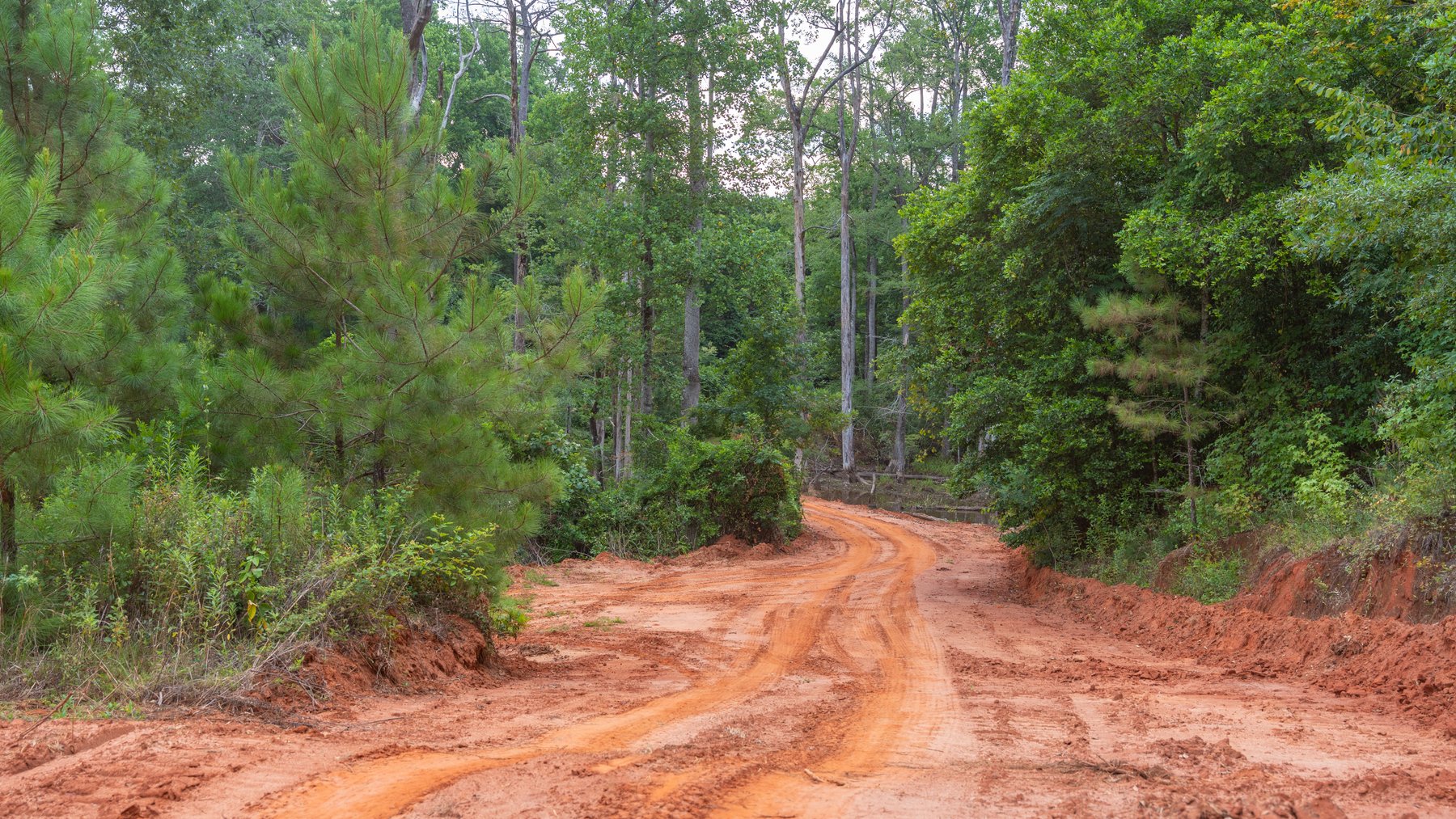 Image for The Wright Place - 190+/- Total Acres - Row Crop & Timber Farm W/ (2) Scenic Ponds