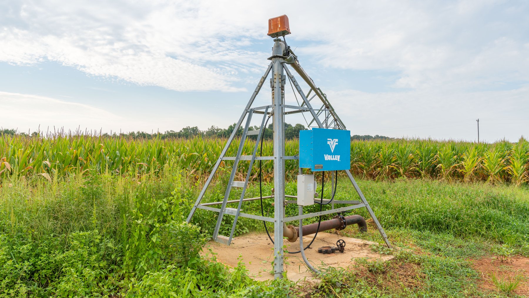 Image for The Wright Place - 190+/- Total Acres - Row Crop & Timber Farm W/ (2) Scenic Ponds