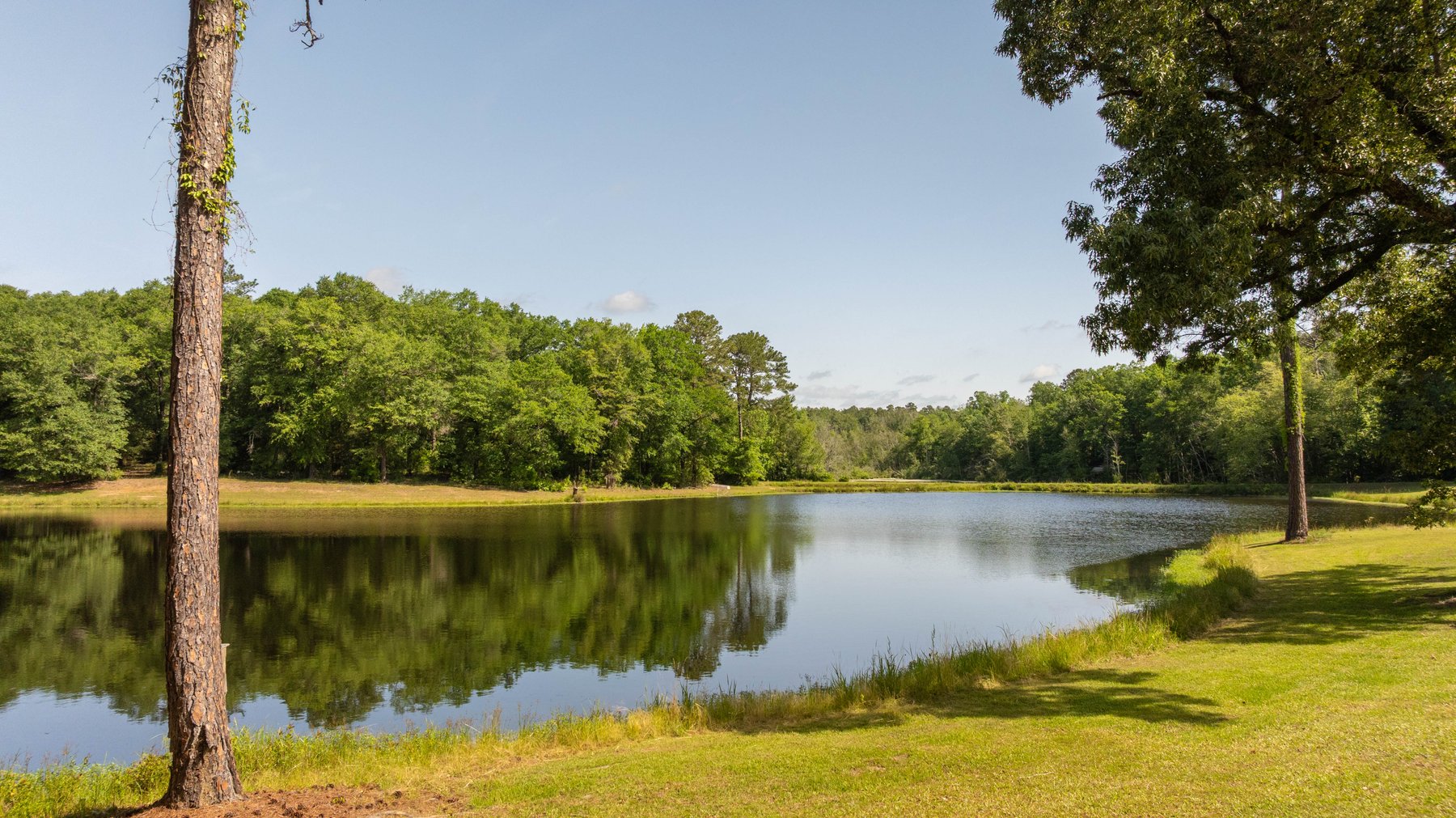 Image for 176+/- Acres - 6,546+/- SF Custom Lodge w/ Stocked Ponds & Food Plots - Mature Timber & Rocky Creek Frontage