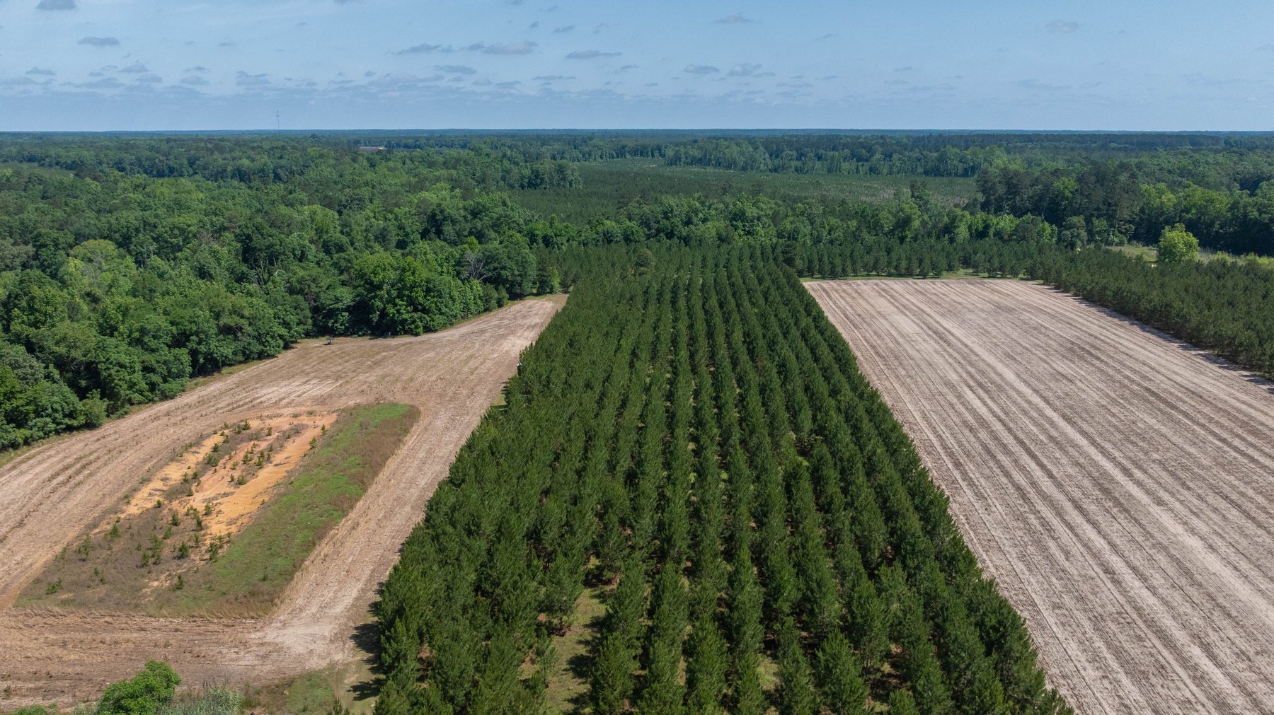 Image for 176+/- Acres - 6,546+/- SF Custom Lodge w/ Stocked Ponds & Food Plots - Mature Timber & Rocky Creek Frontage