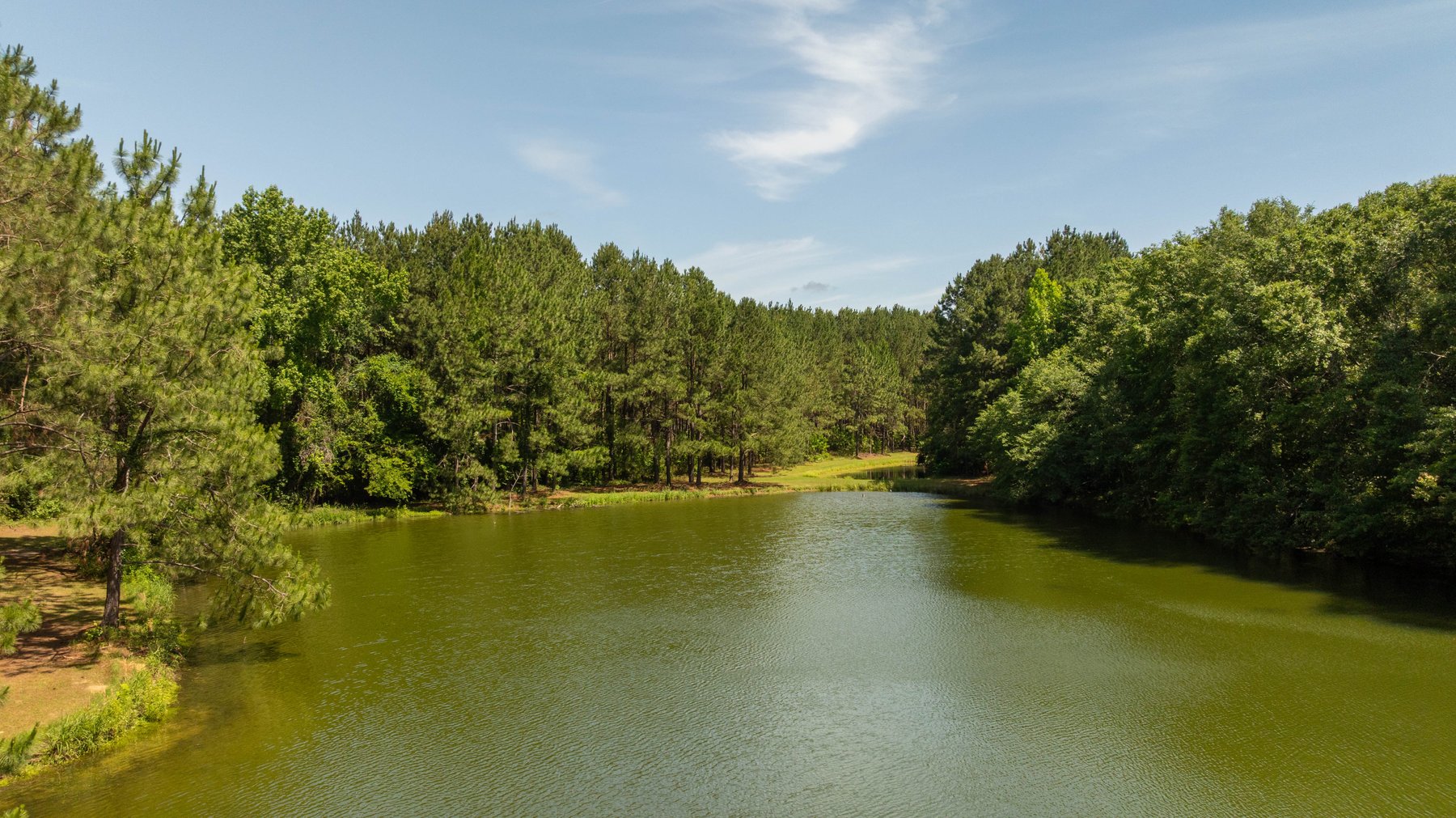 Image for 176+/- Acres - 6,546+/- SF Custom Lodge w/ Stocked Ponds & Food Plots - Mature Timber & Rocky Creek Frontage