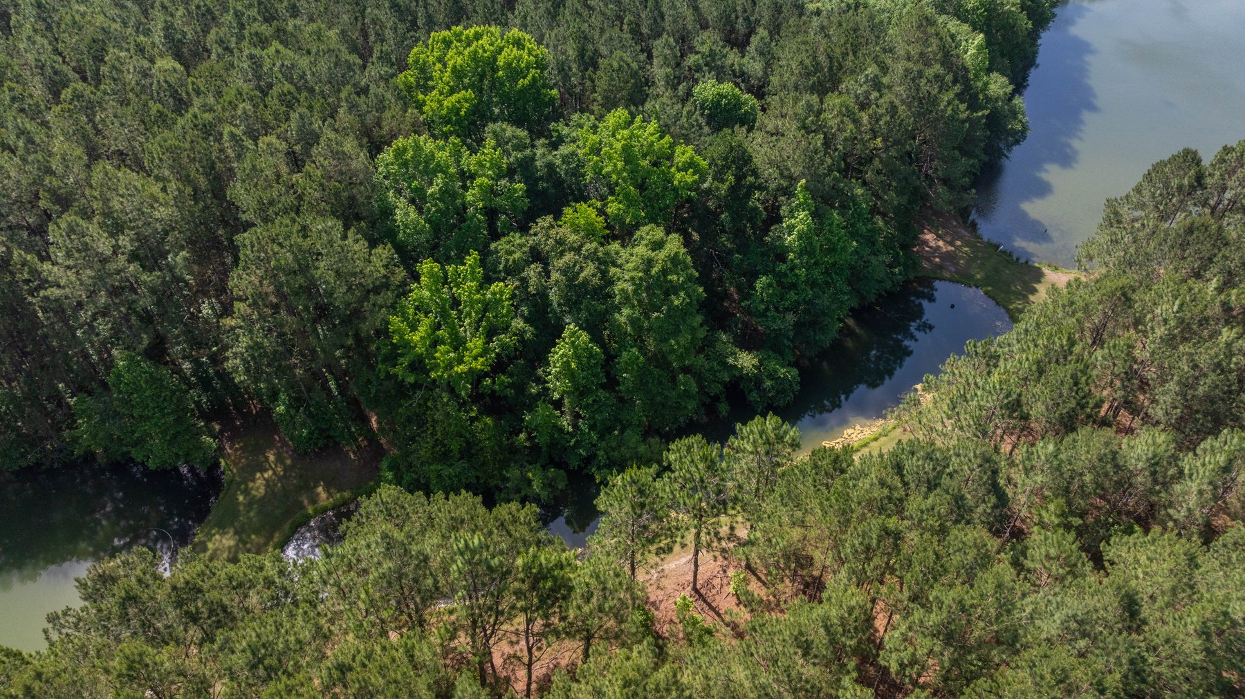 Image for 176+/- Acres - 6,546+/- SF Custom Lodge w/ Stocked Ponds & Food Plots - Mature Timber & Rocky Creek Frontage