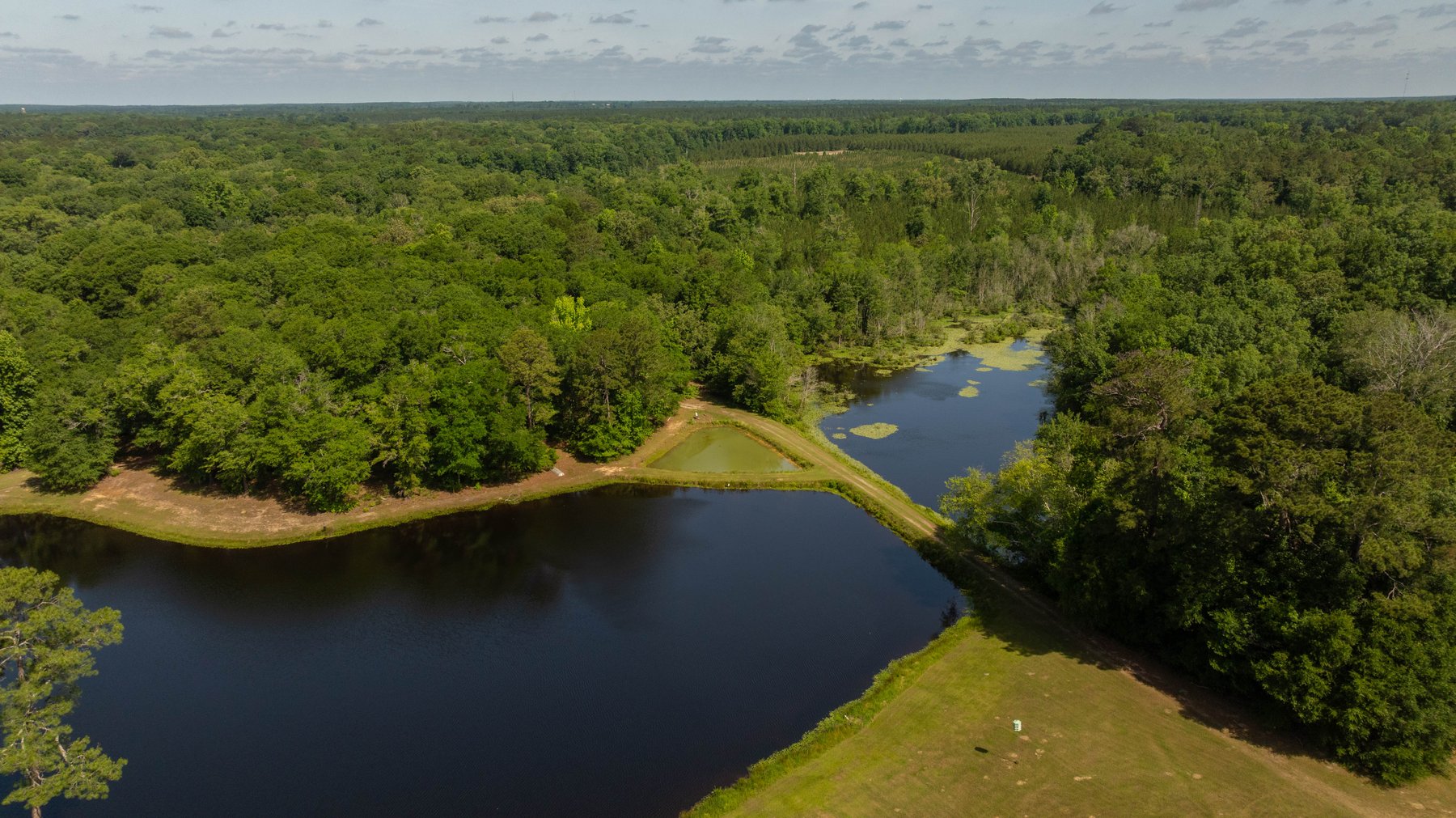 Image for 176+/- Acres - 6,546+/- SF Custom Lodge w/ Stocked Ponds & Food Plots - Mature Timber & Rocky Creek Frontage