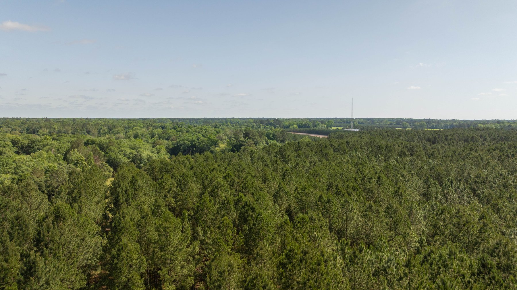 Image for 176+/- Acres - 6,546+/- SF Custom Lodge w/ Stocked Ponds & Food Plots - Mature Timber & Rocky Creek Frontage