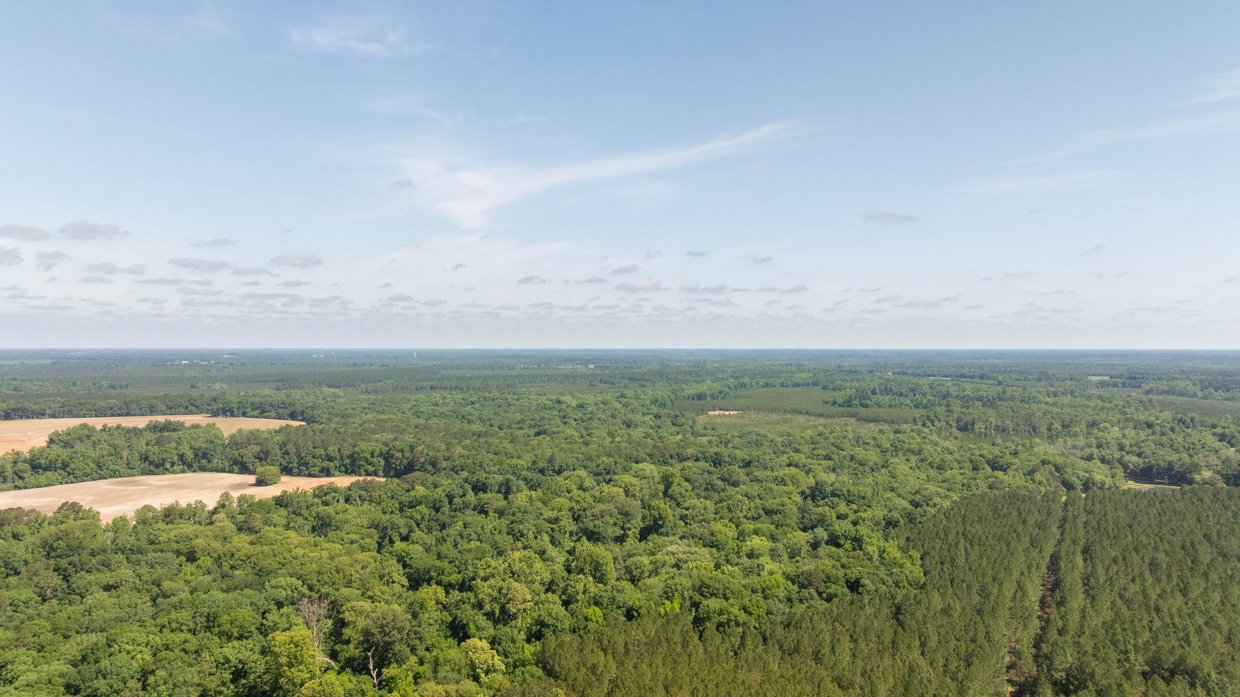 Image for 176+/- Acres - 6,546+/- SF Custom Lodge w/ Stocked Ponds & Food Plots - Mature Timber & Rocky Creek Frontage