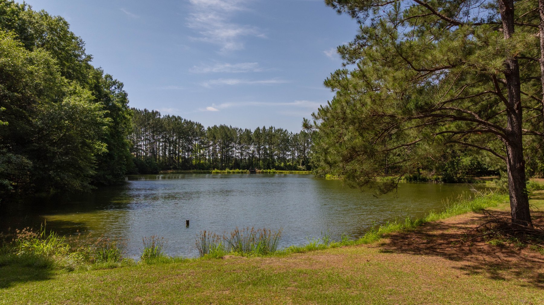 Image for 176+/- Acres - 6,546+/- SF Custom Lodge w/ Stocked Ponds & Food Plots - Mature Timber & Rocky Creek Frontage