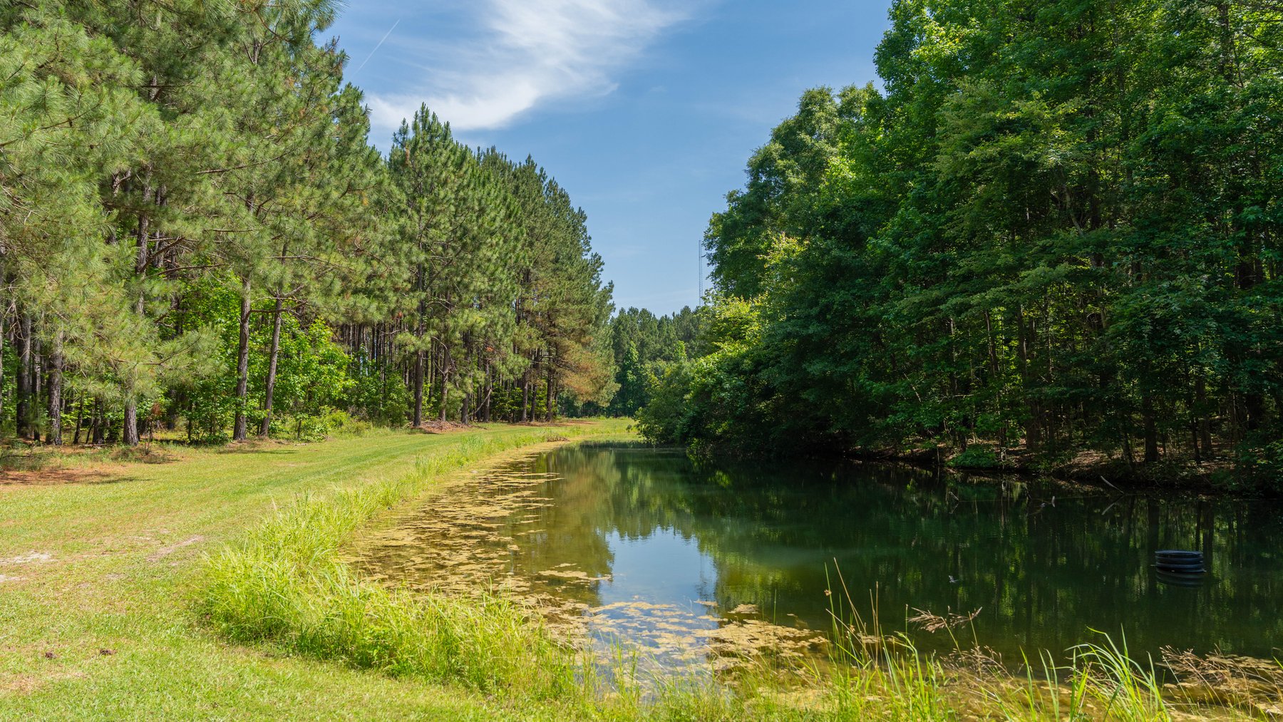 Image for 176+/- Acres - 6,546+/- SF Custom Lodge w/ Stocked Ponds & Food Plots - Mature Timber & Rocky Creek Frontage