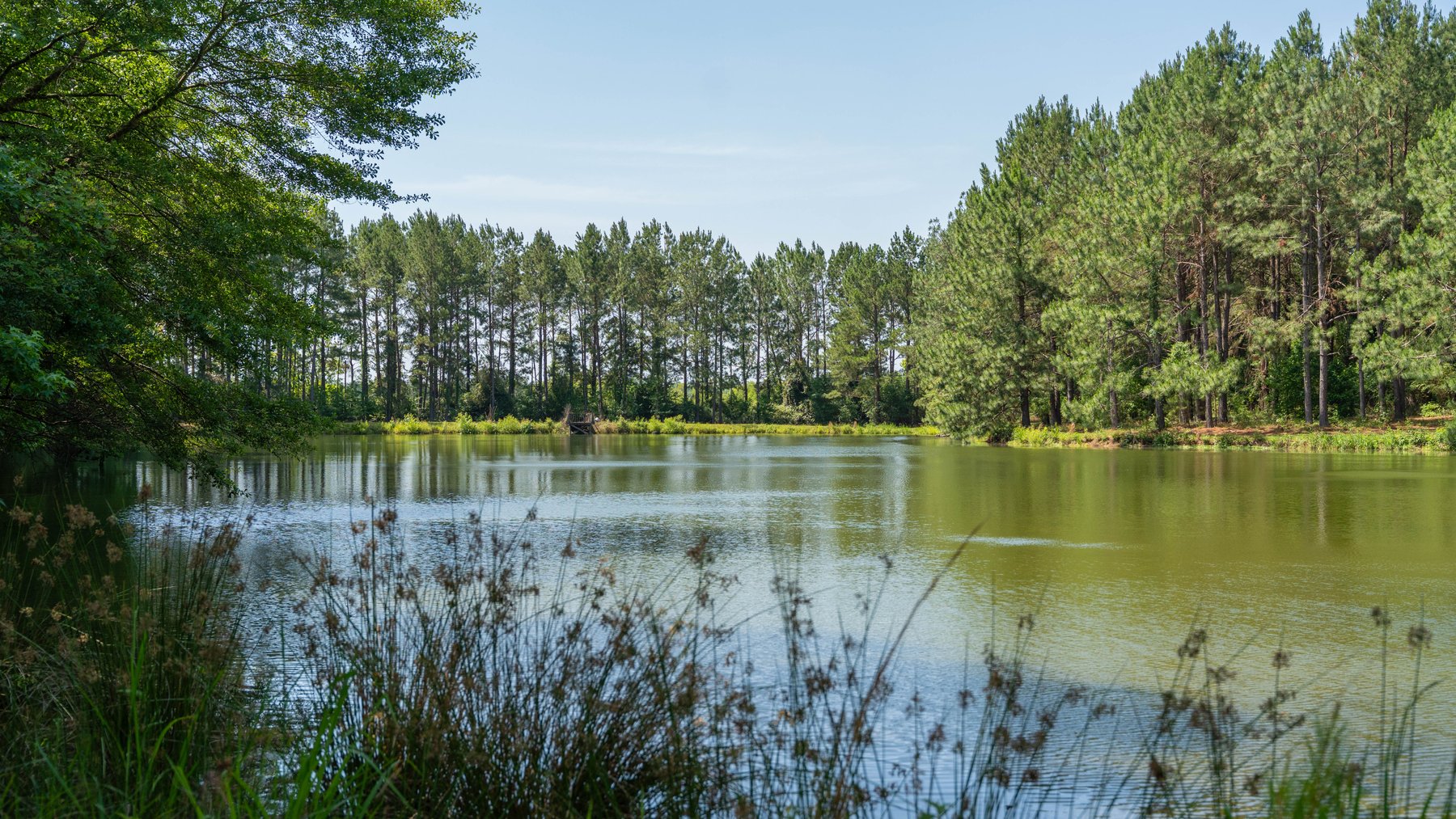 Image for 176+/- Acres - 6,546+/- SF Custom Lodge w/ Stocked Ponds & Food Plots - Mature Timber & Rocky Creek Frontage